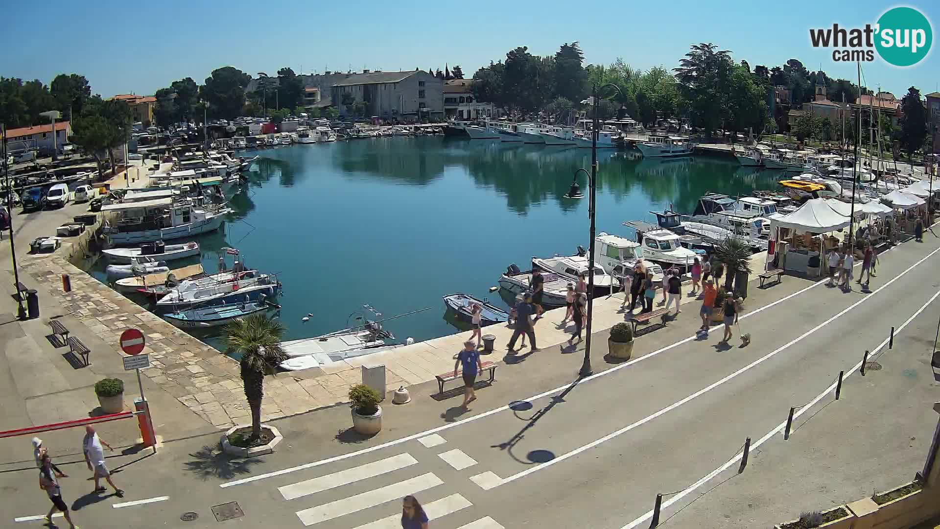 Novigrad kamera Mandrač – Istra