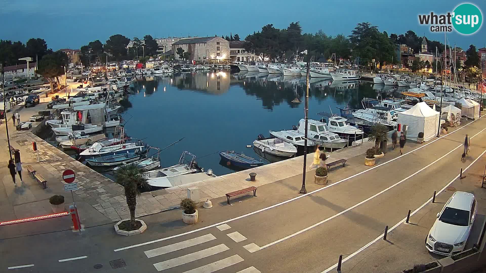 Novigrad webcam Mandrač | Cittanova in Istria – Porto vecchio