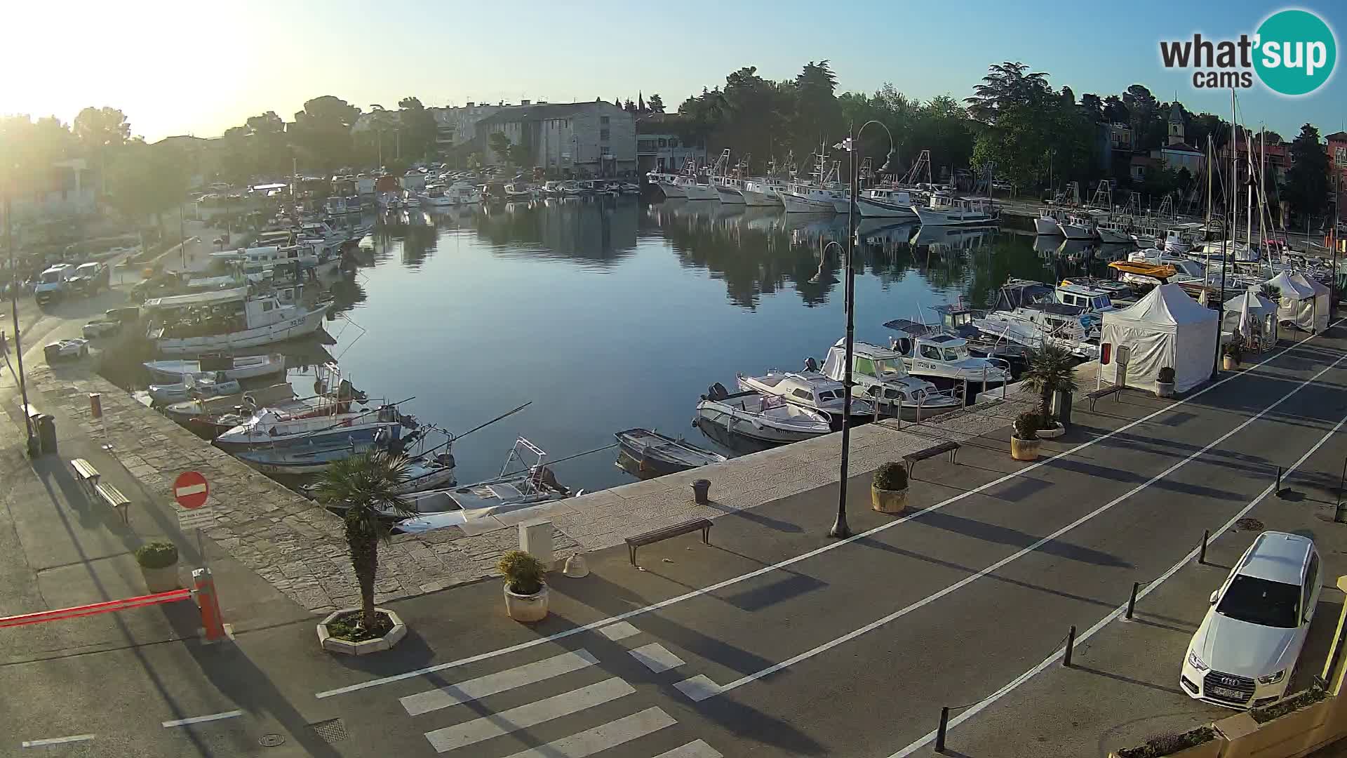 Novigrad webcam Mandrač | Cittanova in Istria – Porto vecchio