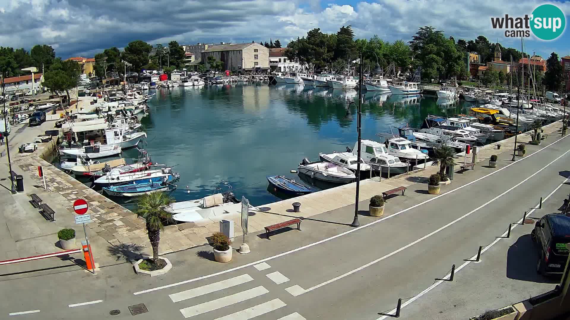 Novigrad webcam Mandrač | Cittanova in Istria – Porto vecchio