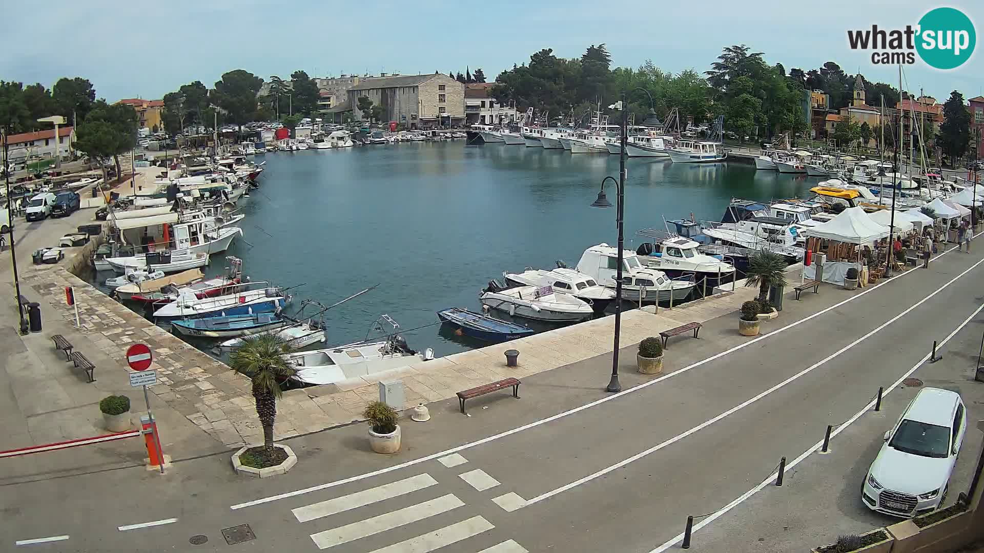 Novigrad –  Mandrač