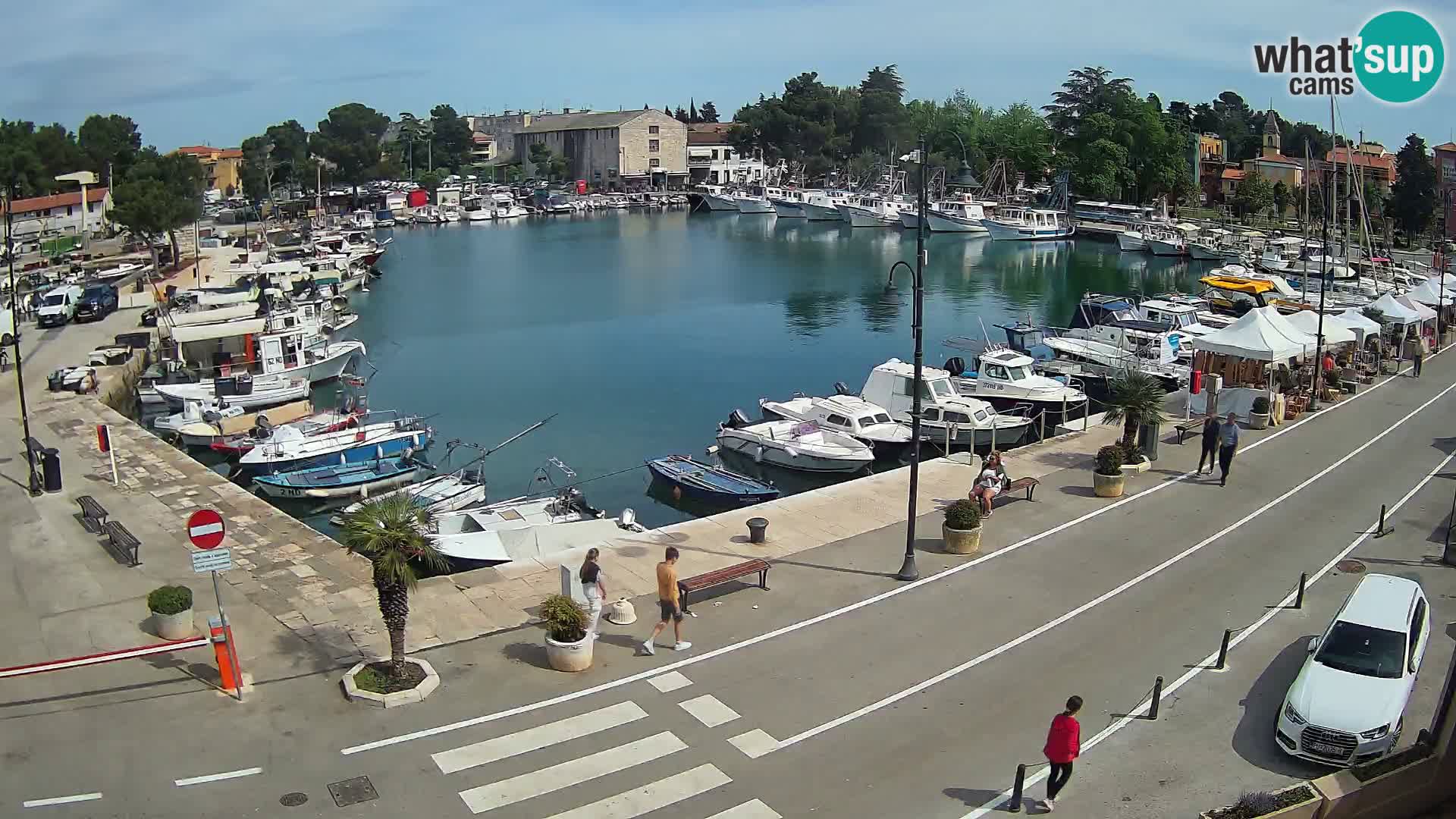 Novigrad kamera Mandrač – Istra