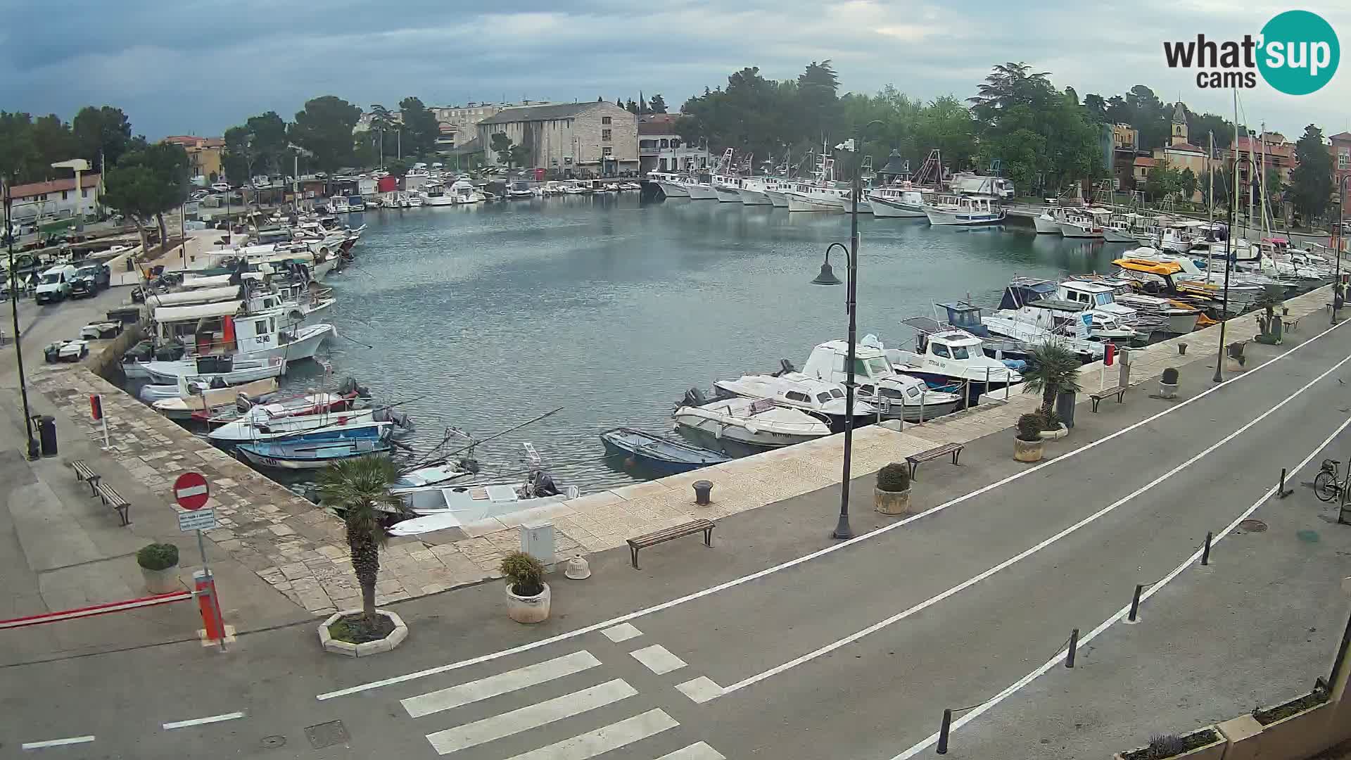 Novigrad kamera Mandrač – Istra