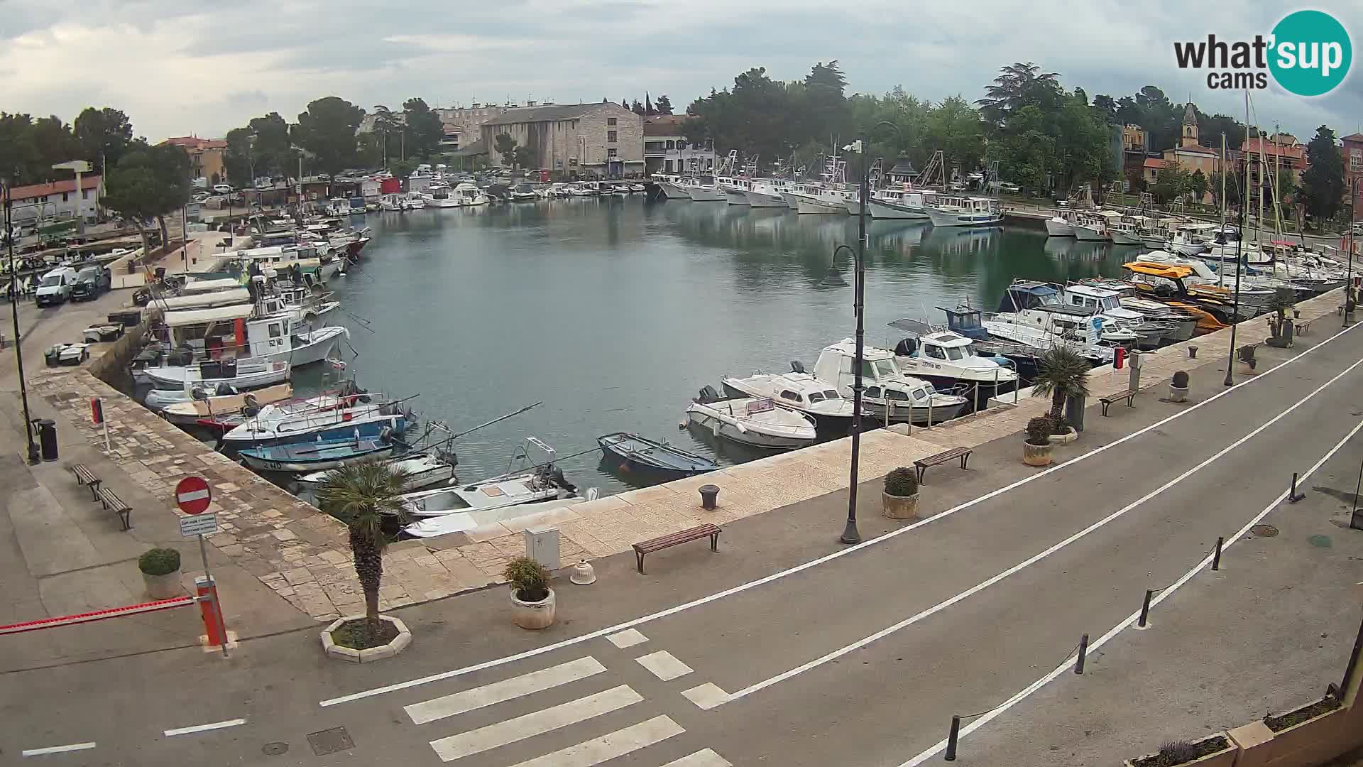 Novigrad webcam Mandrač | Cittanova in Istria – Porto vecchio