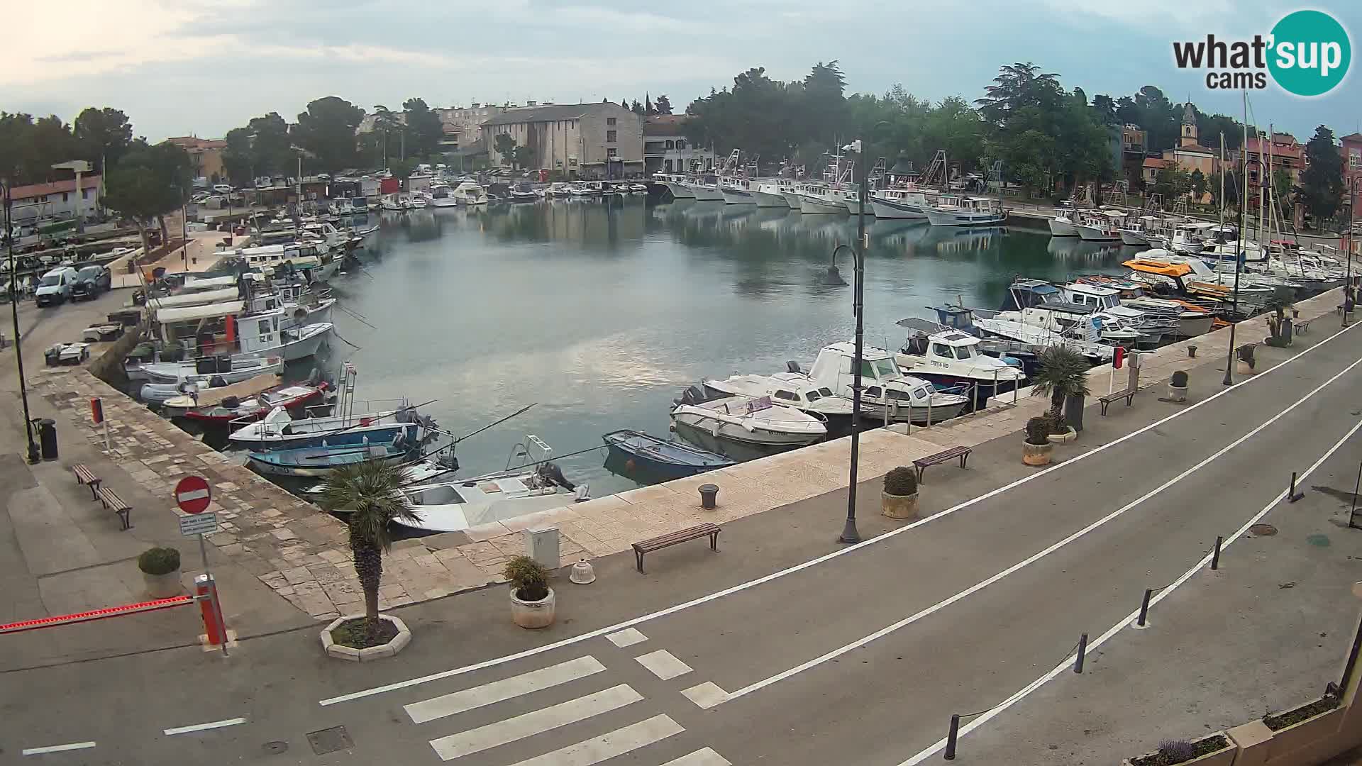 Novigrad webcam Mandrač | old marina – Istria