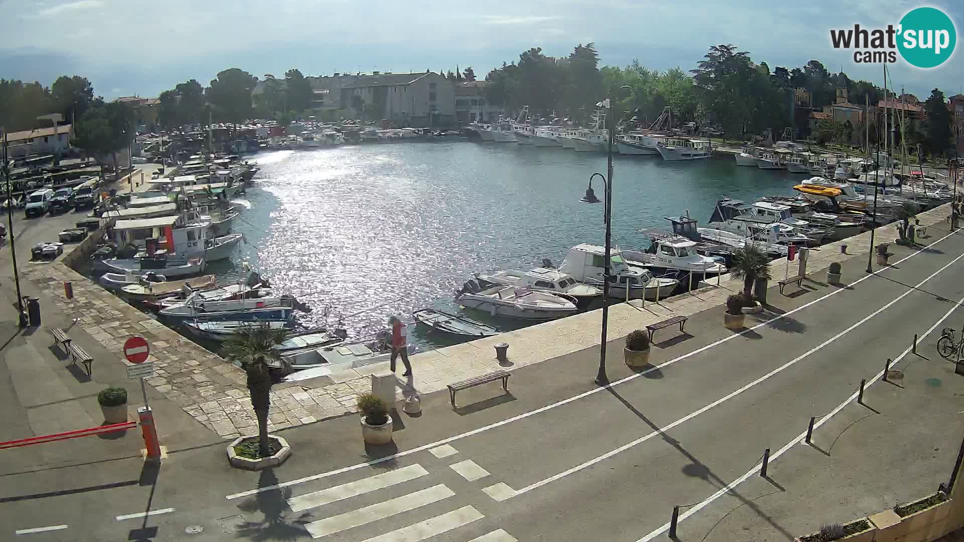 Novigrad –  Mandrač