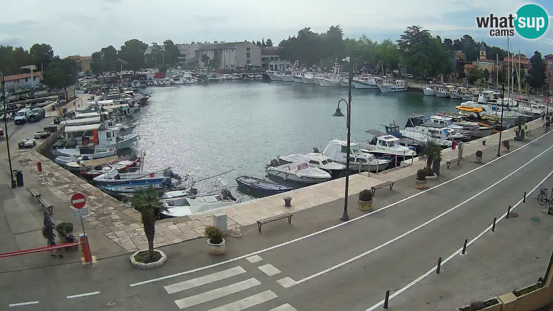 Novigrad – puerto viejo “Mandrač”