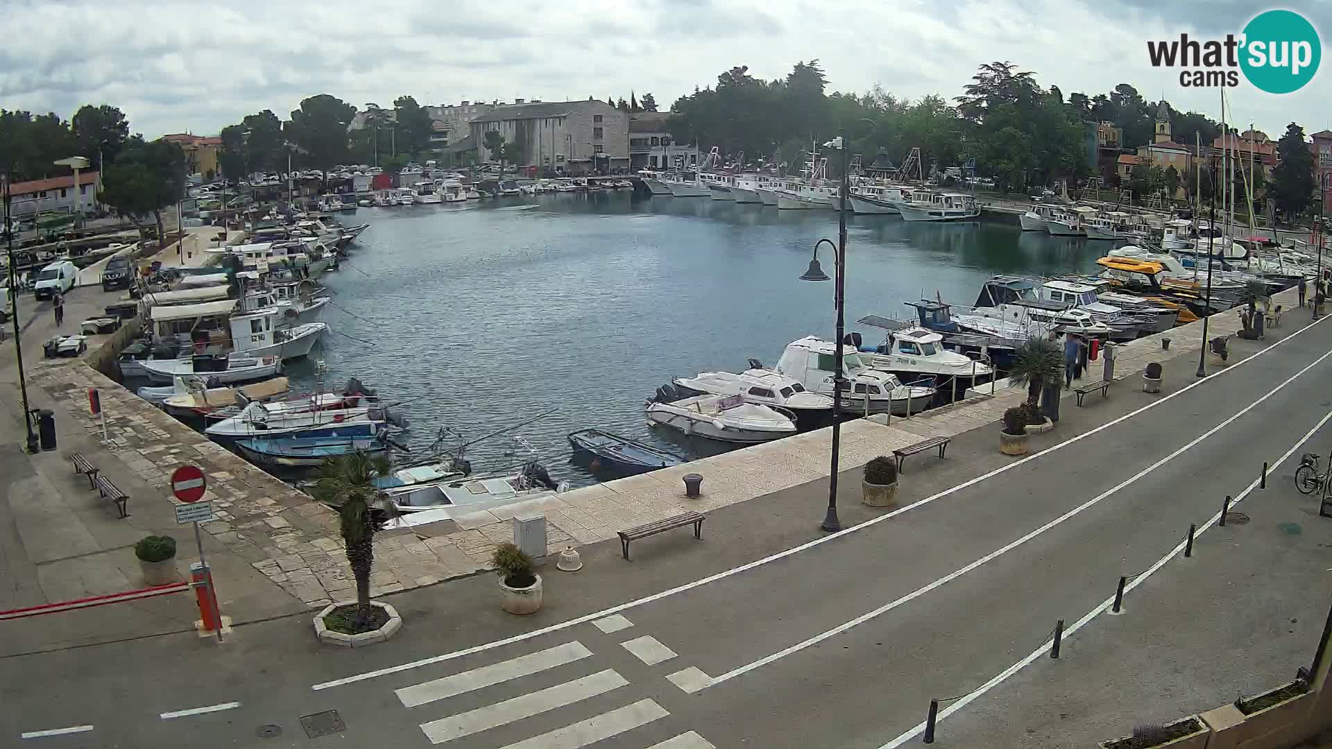 Novigrad webcam Mandrač | Cittanova in Istria – Porto vecchio