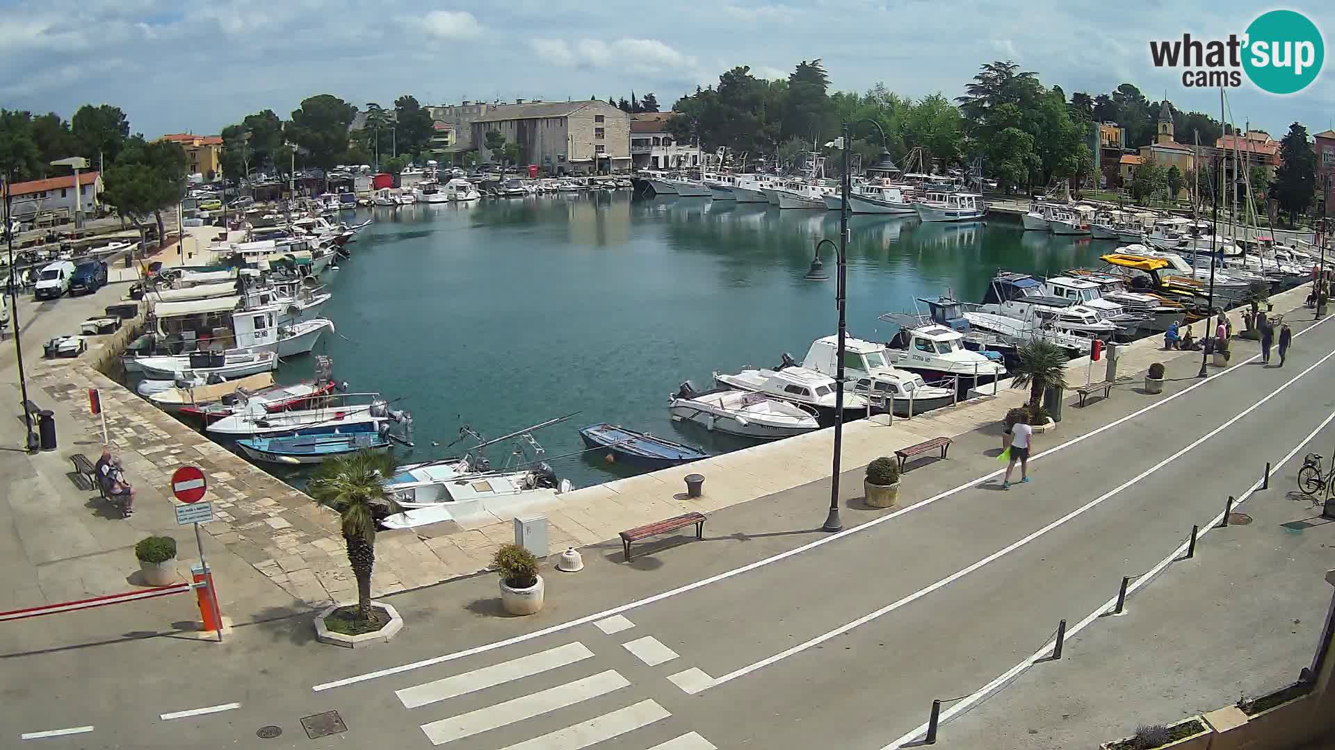 Novigrad kamera Mandrač – Istra