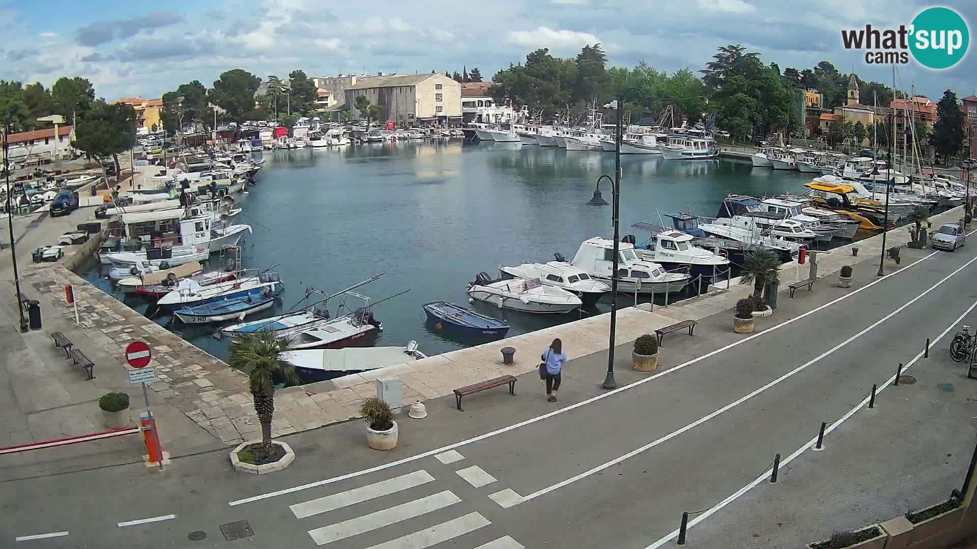 Novigrad webcam Mandrač | alten Hafen – Istrien