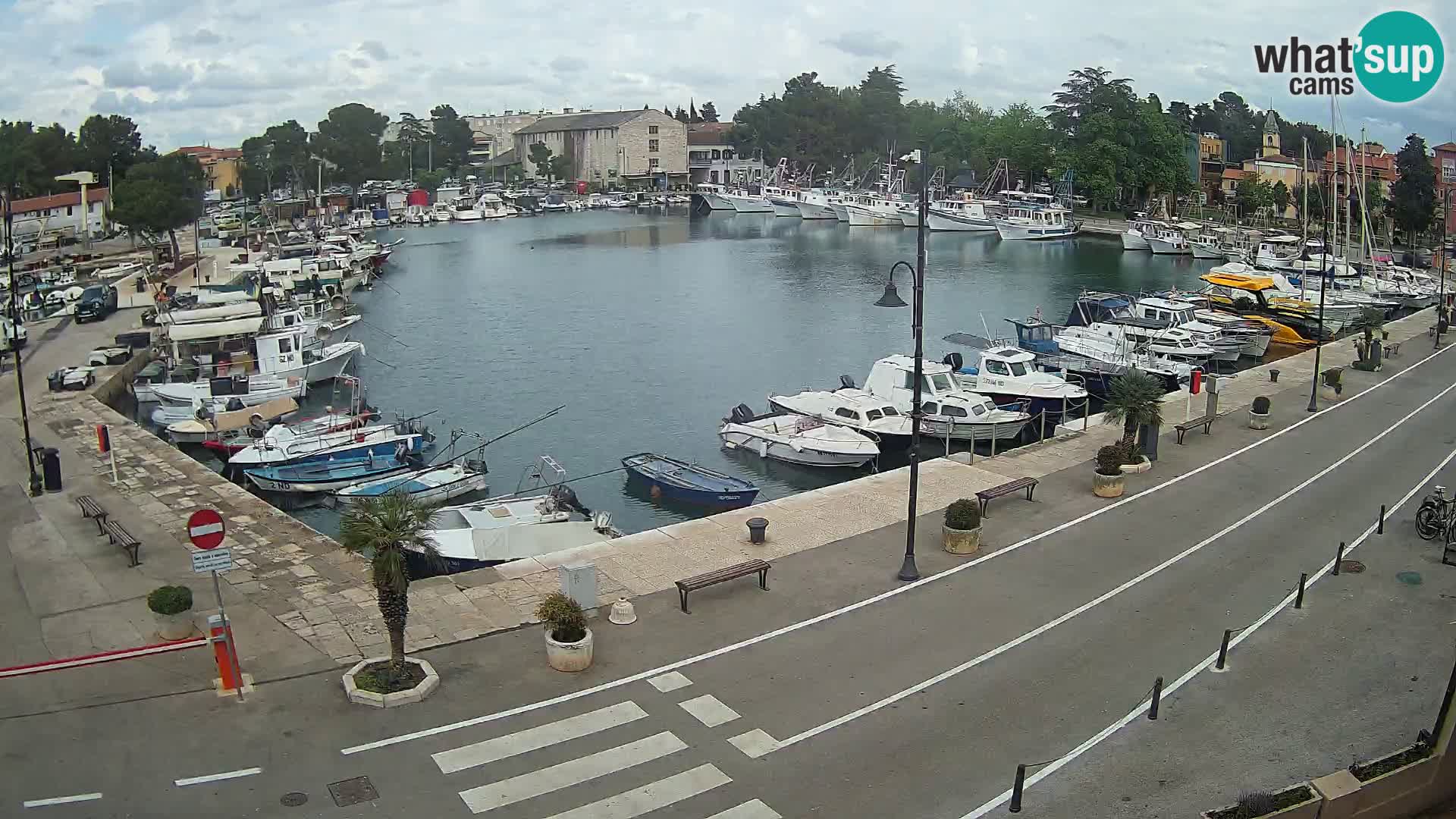 Novigrad –  Mandrač