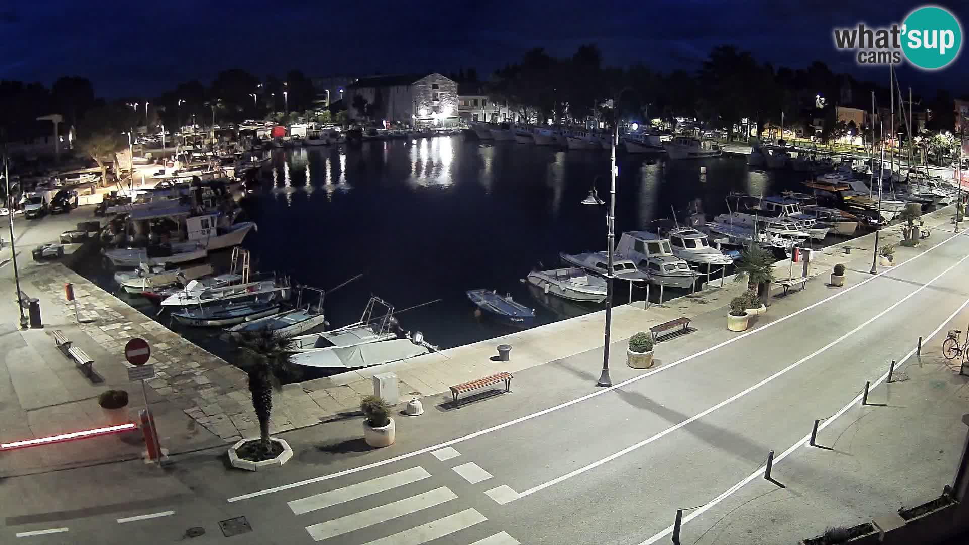 Novigrad –  alten Hafen “Mandrač”