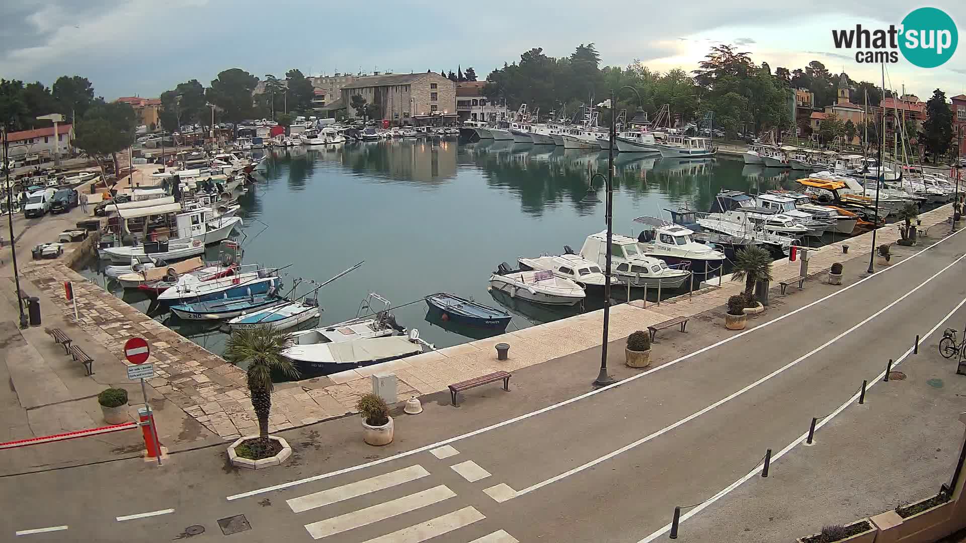 Novigrad webcam Mandrač | Cittanova in Istria – Porto vecchio