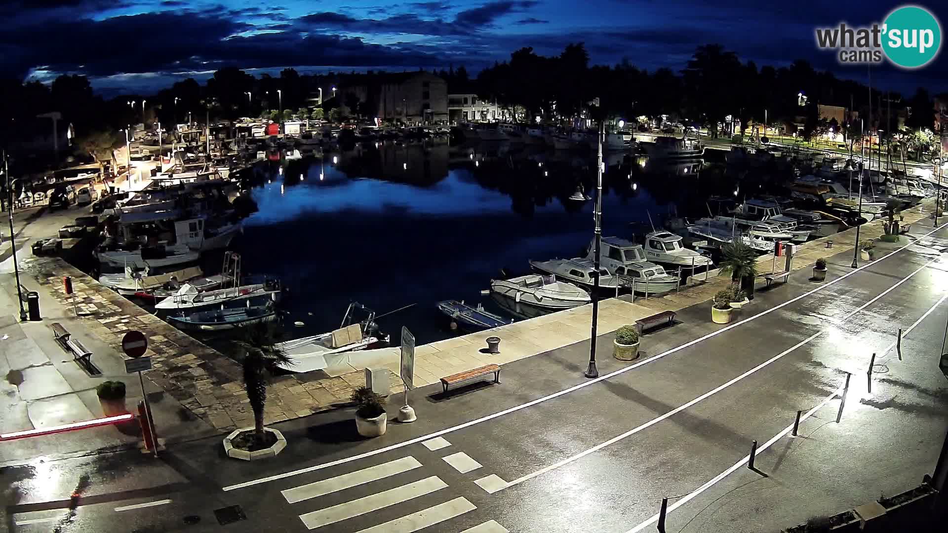 Novigrad kamera Mandrač – Istra