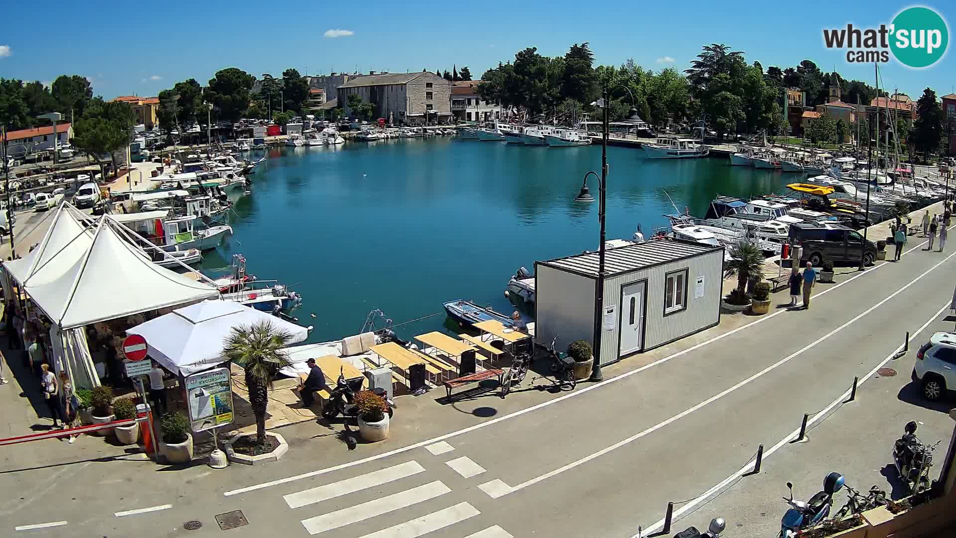 Novigrad webcam Mandrač | Cittanova in Istria – Porto vecchio