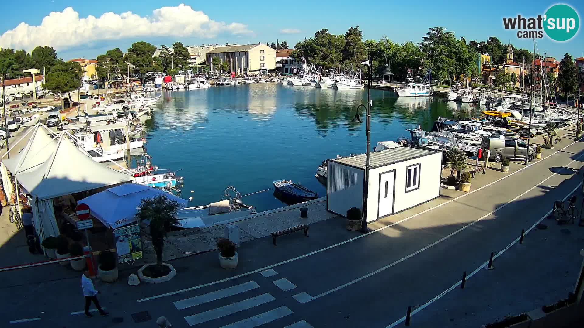 Novigrad webcam Mandrač | alten Hafen – Istrien