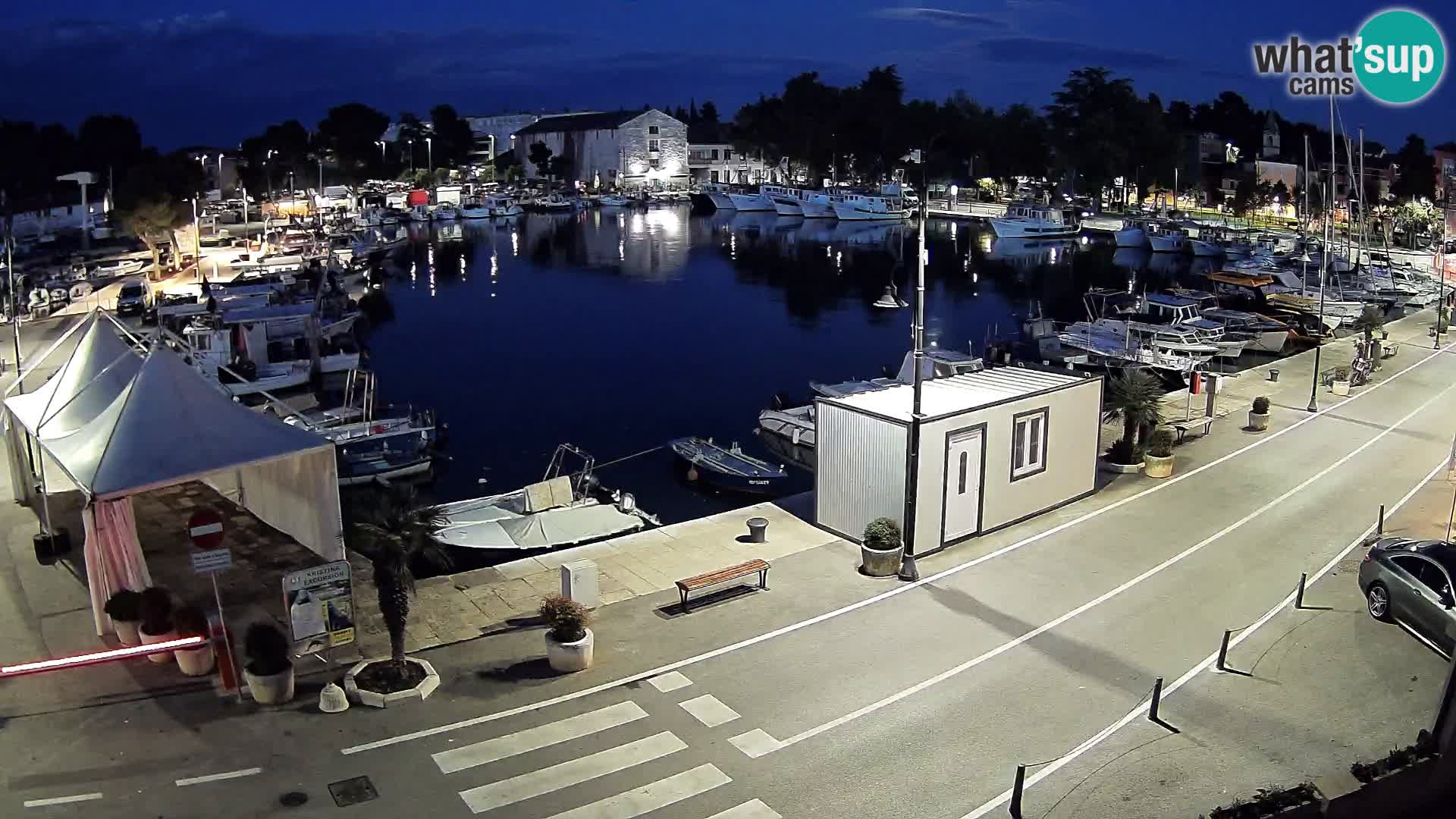 Novigrad webcam Mandrač | Cittanova in Istria – Porto vecchio