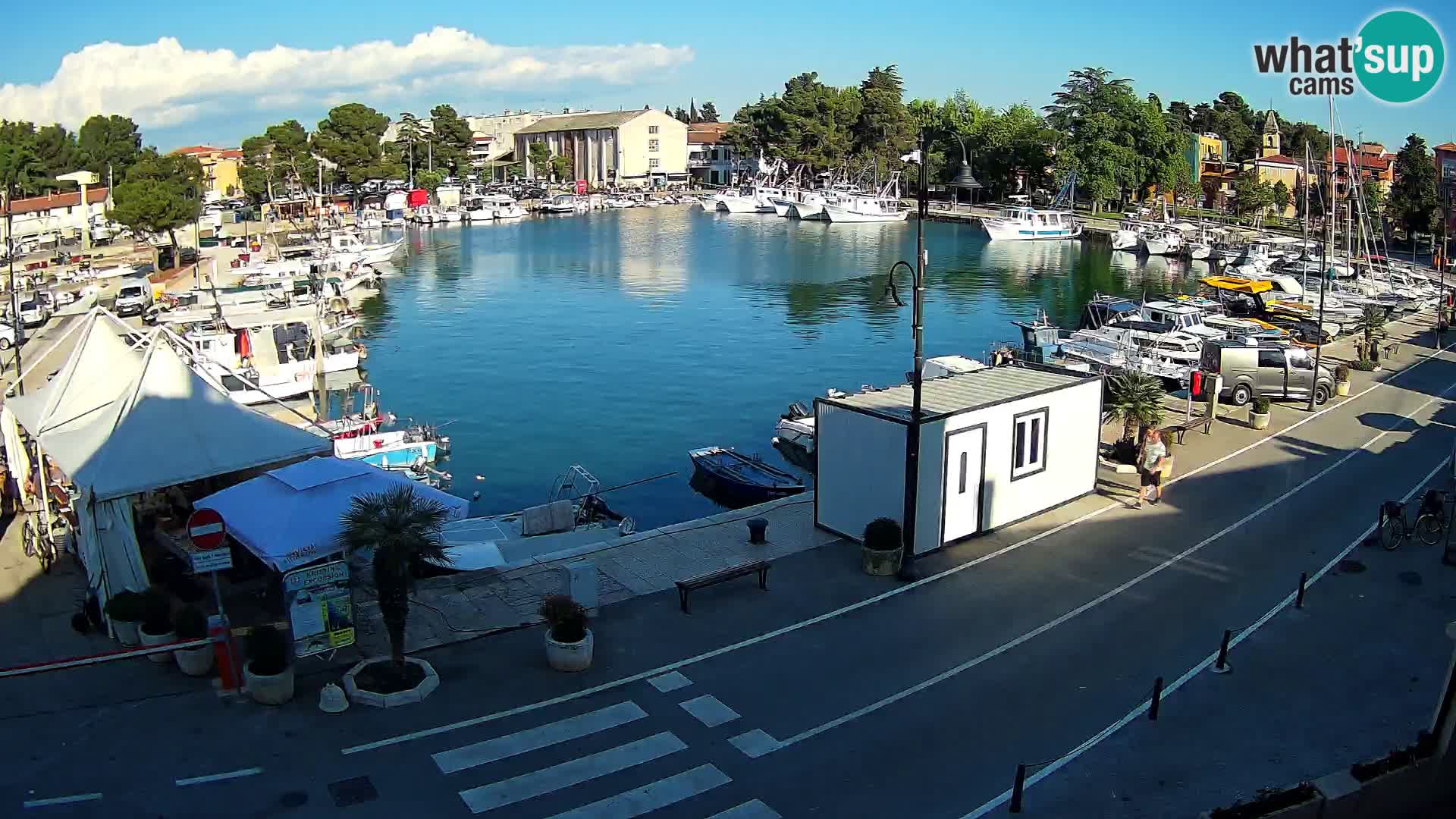 Novigrad webcam Mandrač | Cittanova in Istria – Porto vecchio