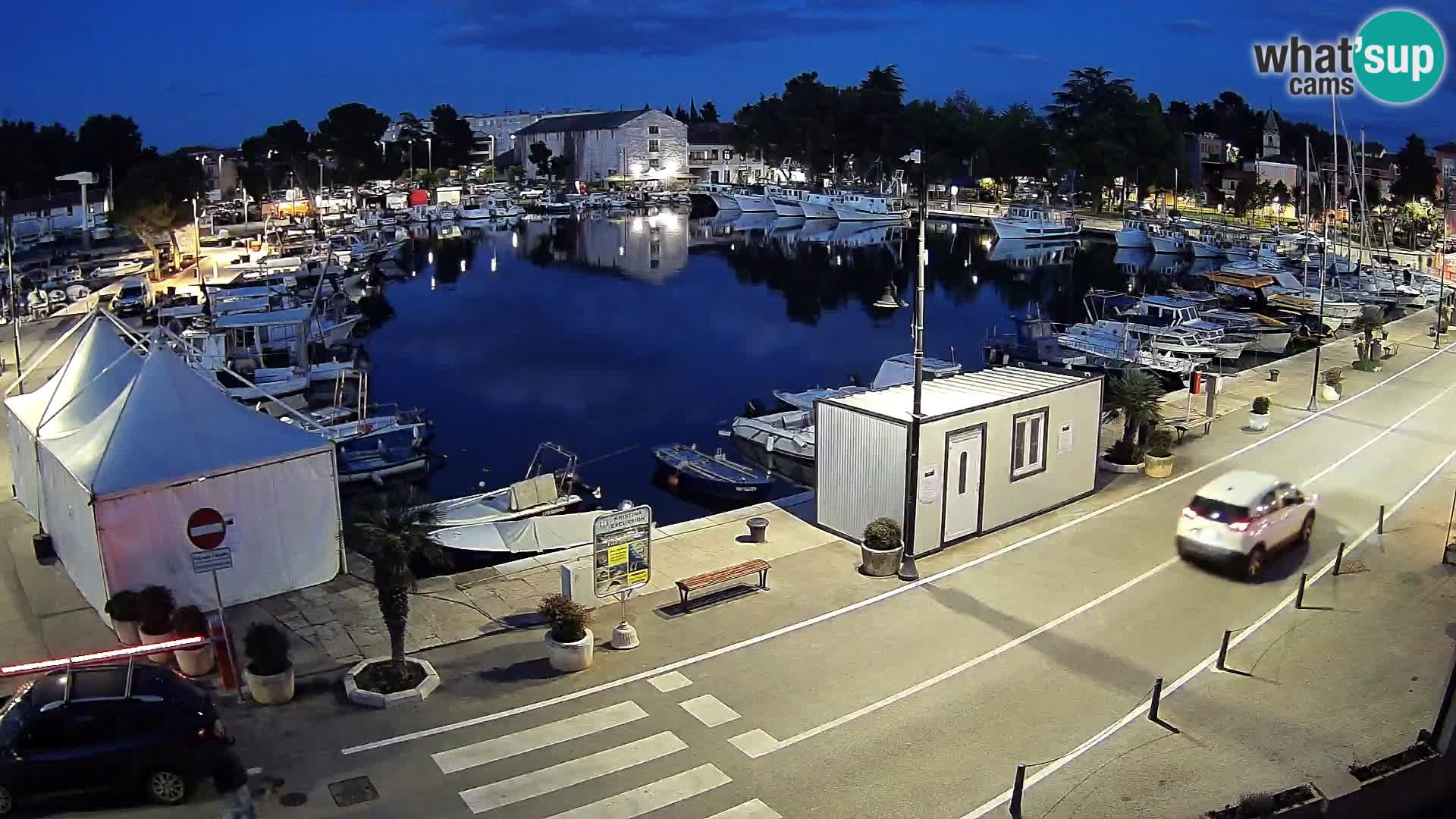 Novigrad kamera Mandrač – Istra