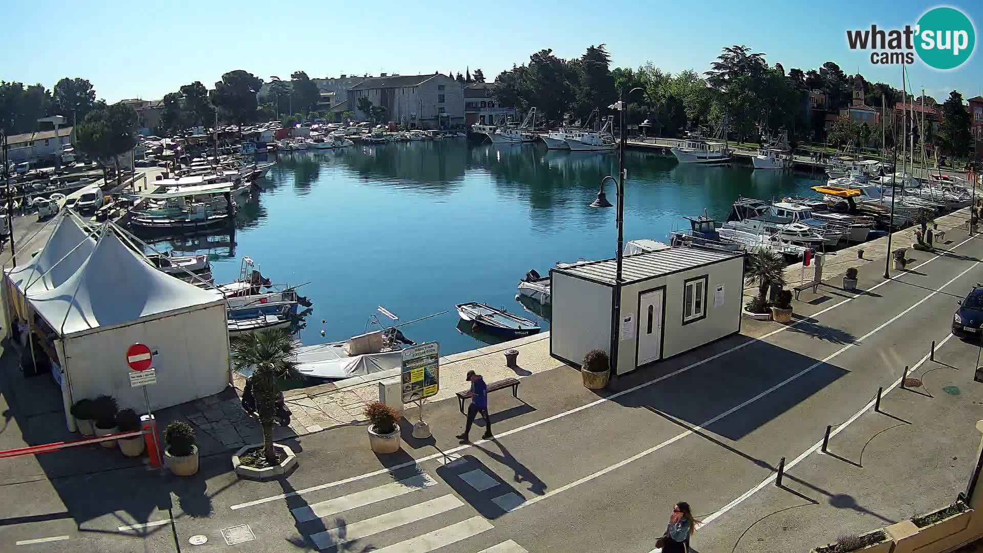 Novigrad kamera Mandrač – Istra