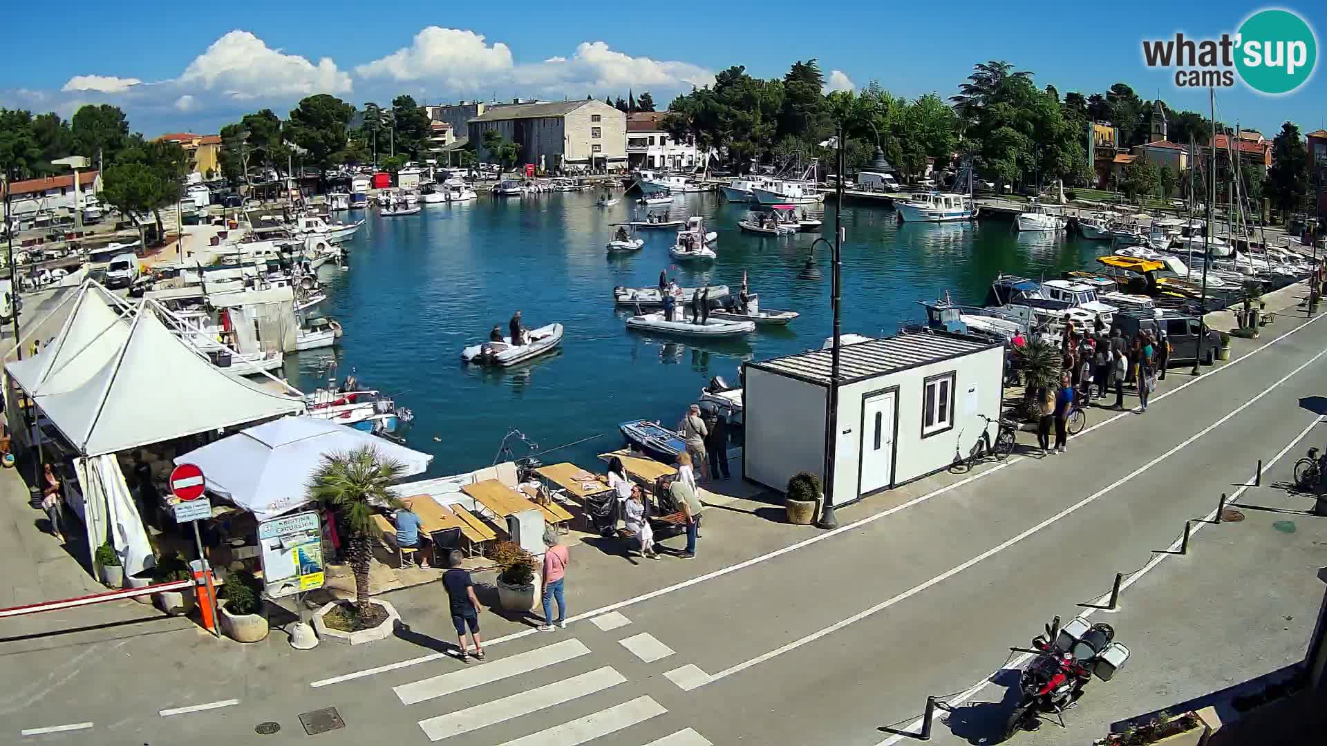 Novigrad webcam Mandrač | Cittanova in Istria – Porto vecchio