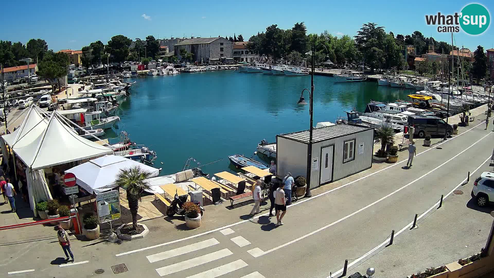 Novigrad webcam Mandrač | alten Hafen – Istrien