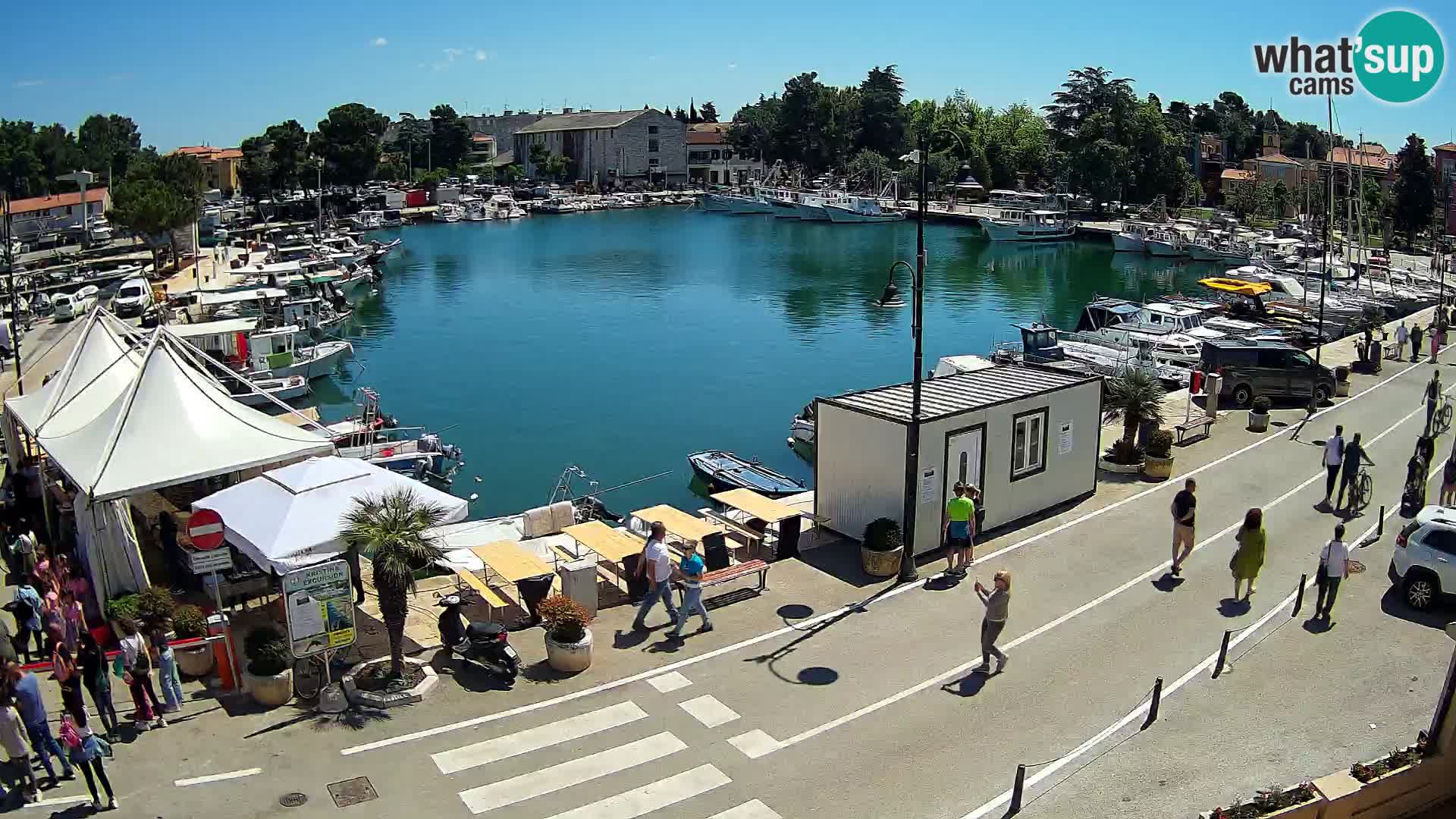 Novigrad – vieux port “Mandrač”
