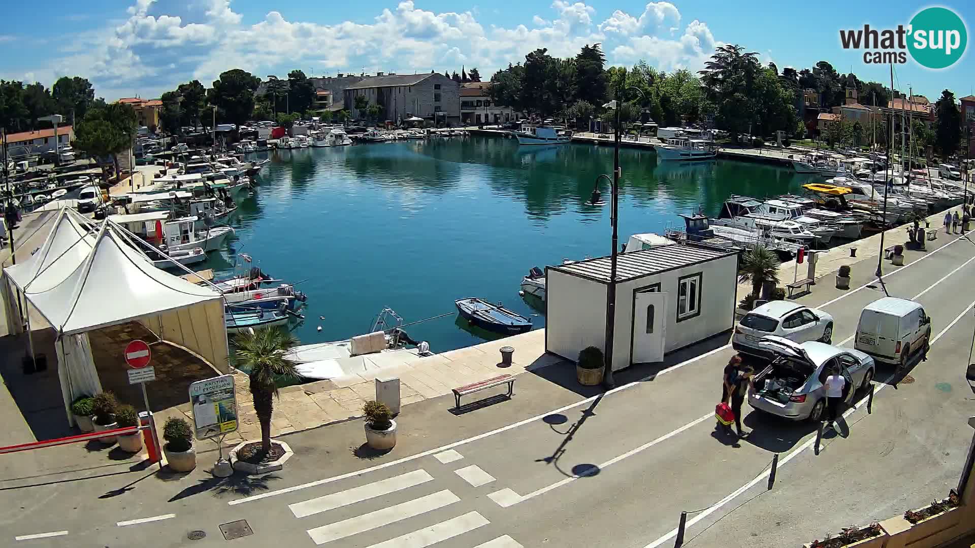 Novigrad kamera Mandrač – Istra