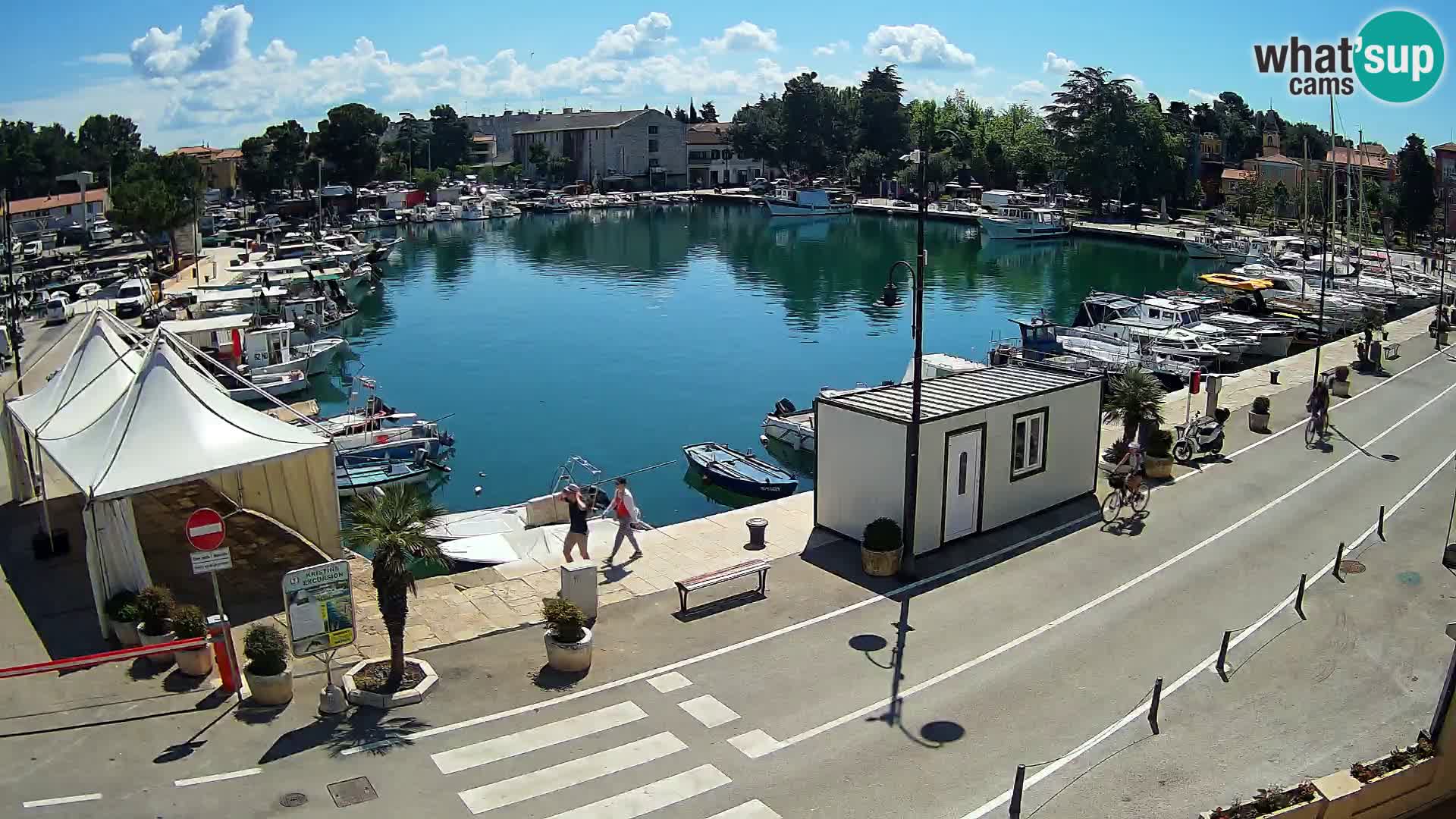 Novigrad kamera Mandrač – Istra