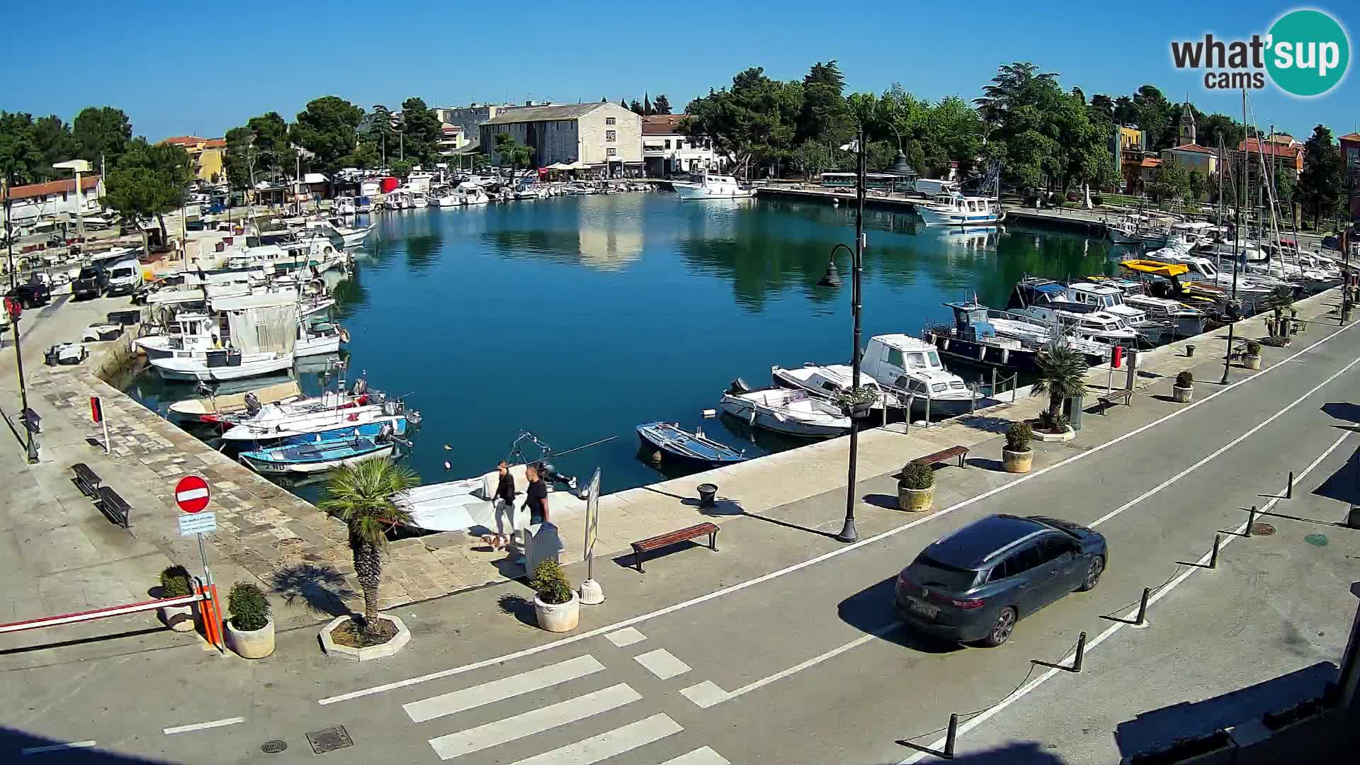 Novigrad webcam Mandrač | alten Hafen – Istrien