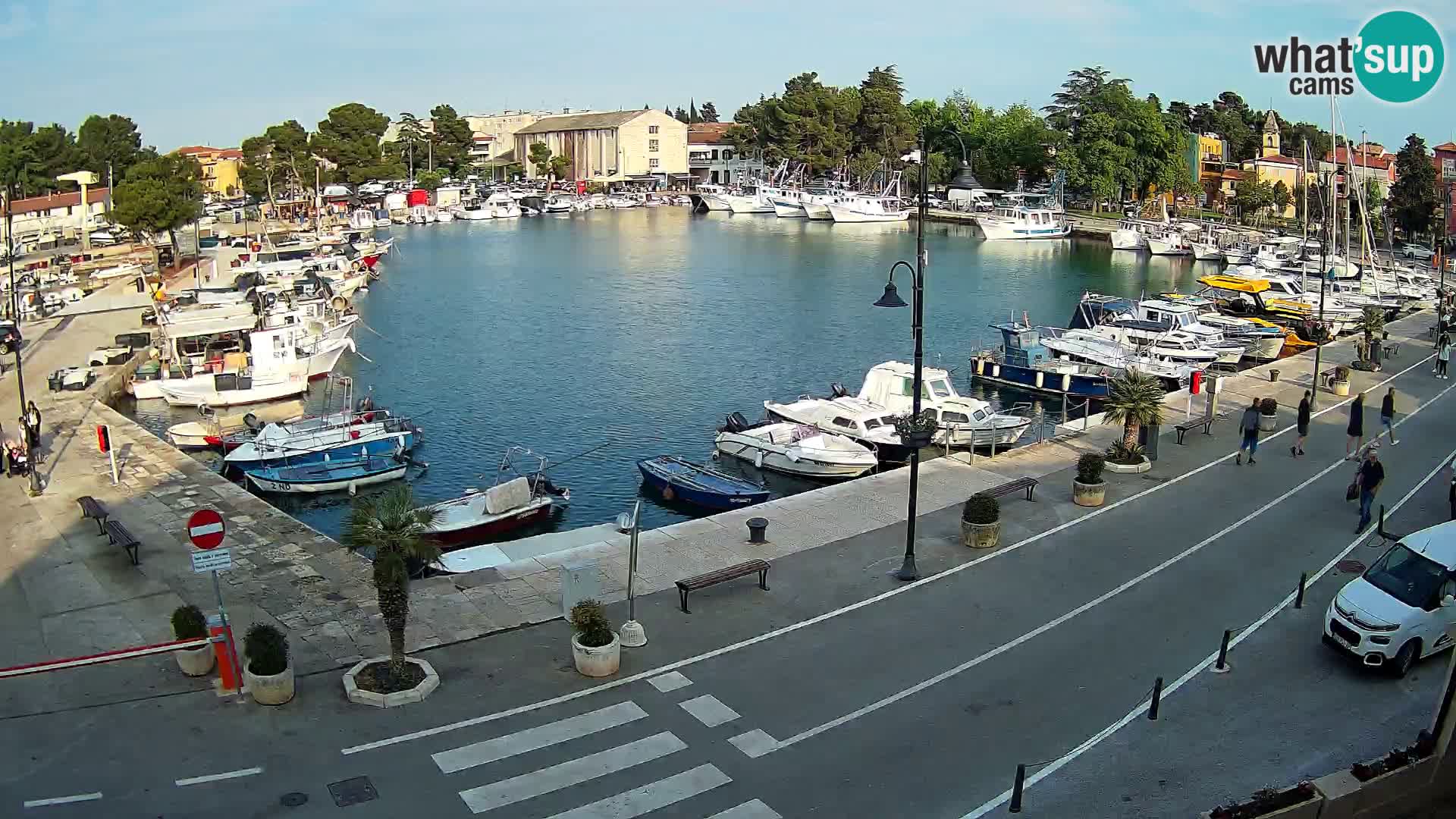 Novigrad webcam Mandrač | alten Hafen – Istrien
