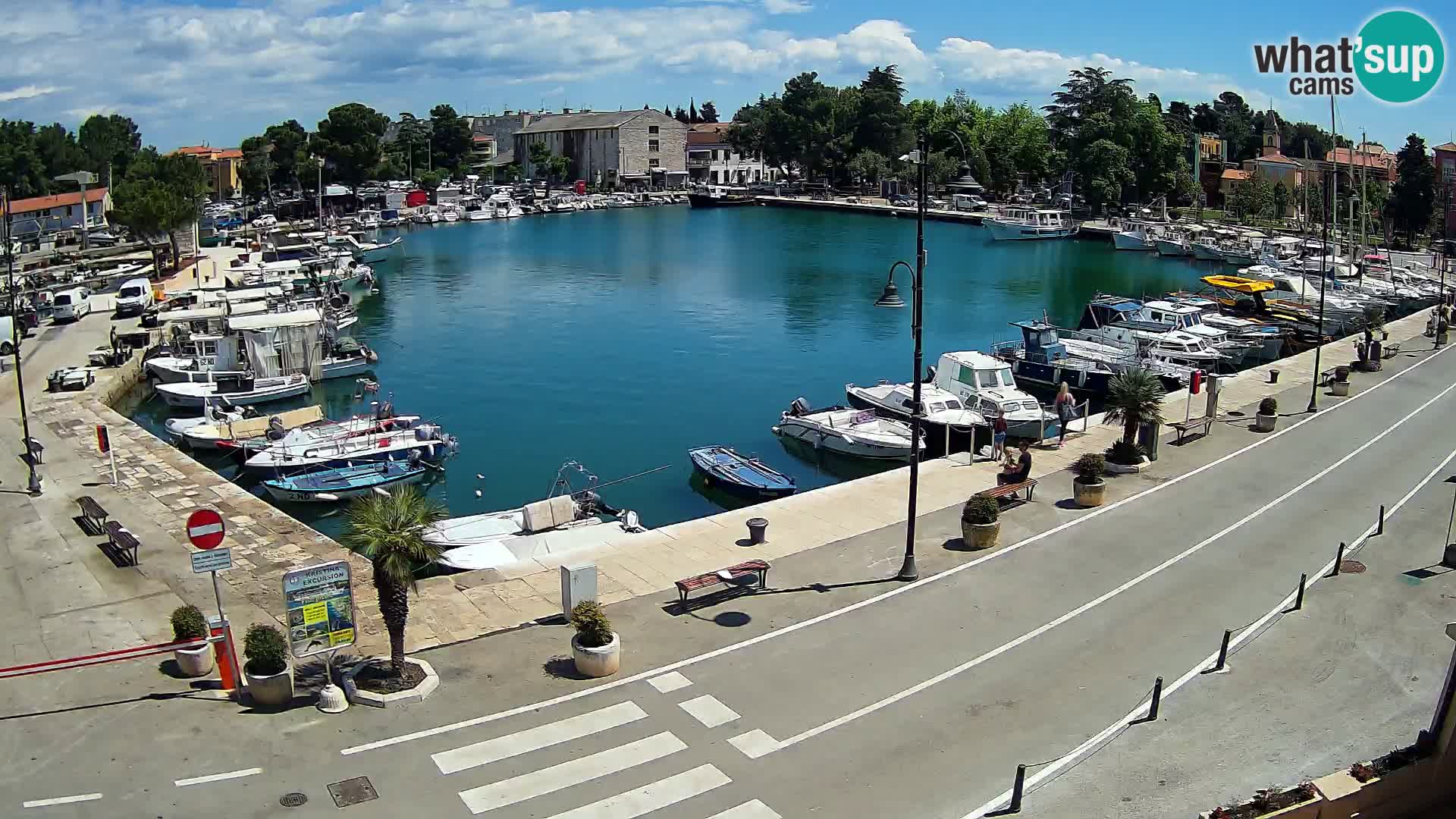 Novigrad kamera Mandrač – Istra
