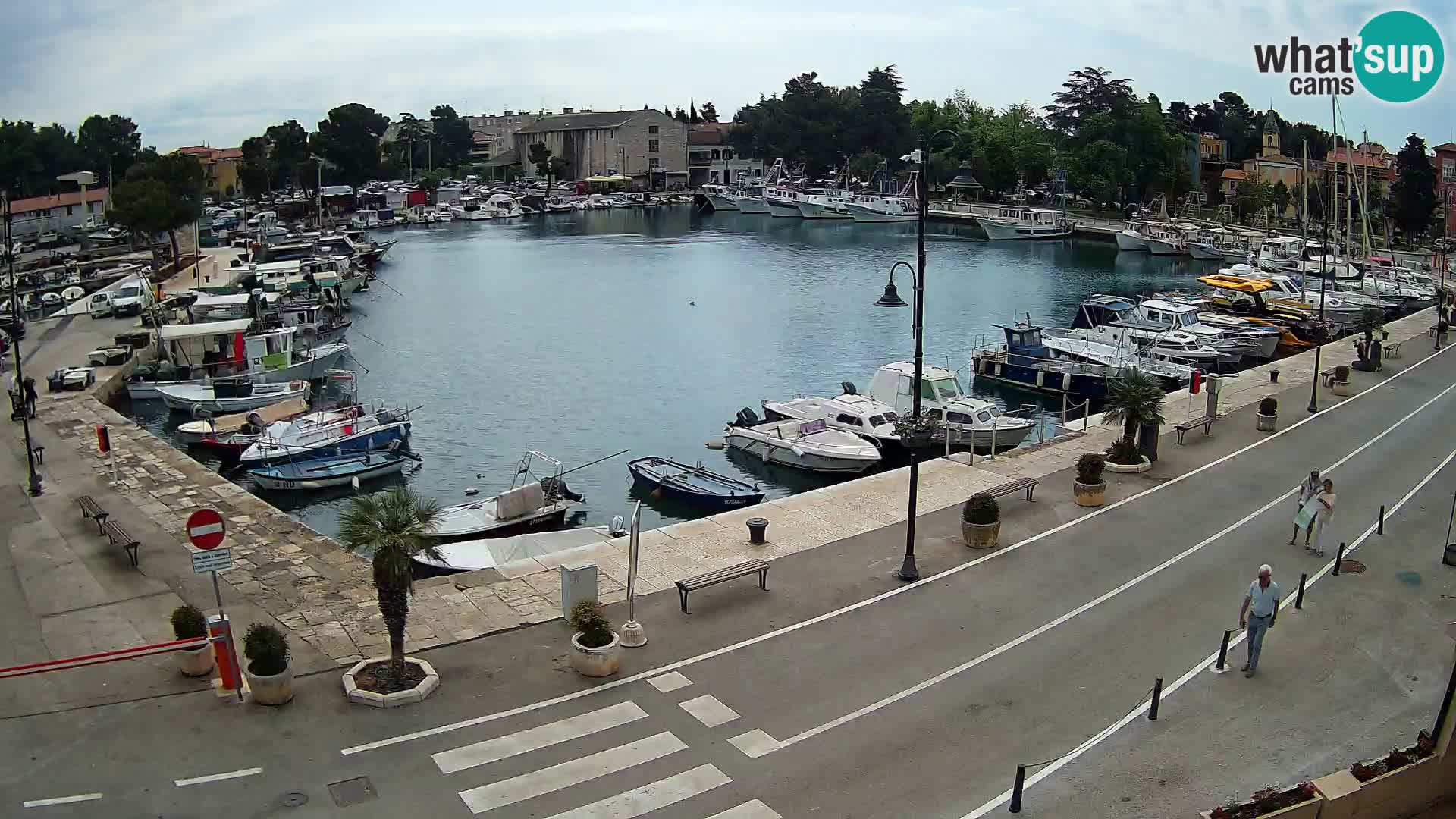 Novigrad webcam – old marina “Mandrač”