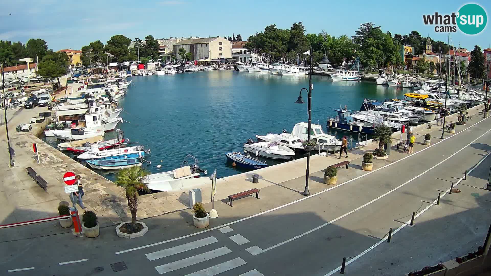 Novigrad webcam – old marina “Mandrač”