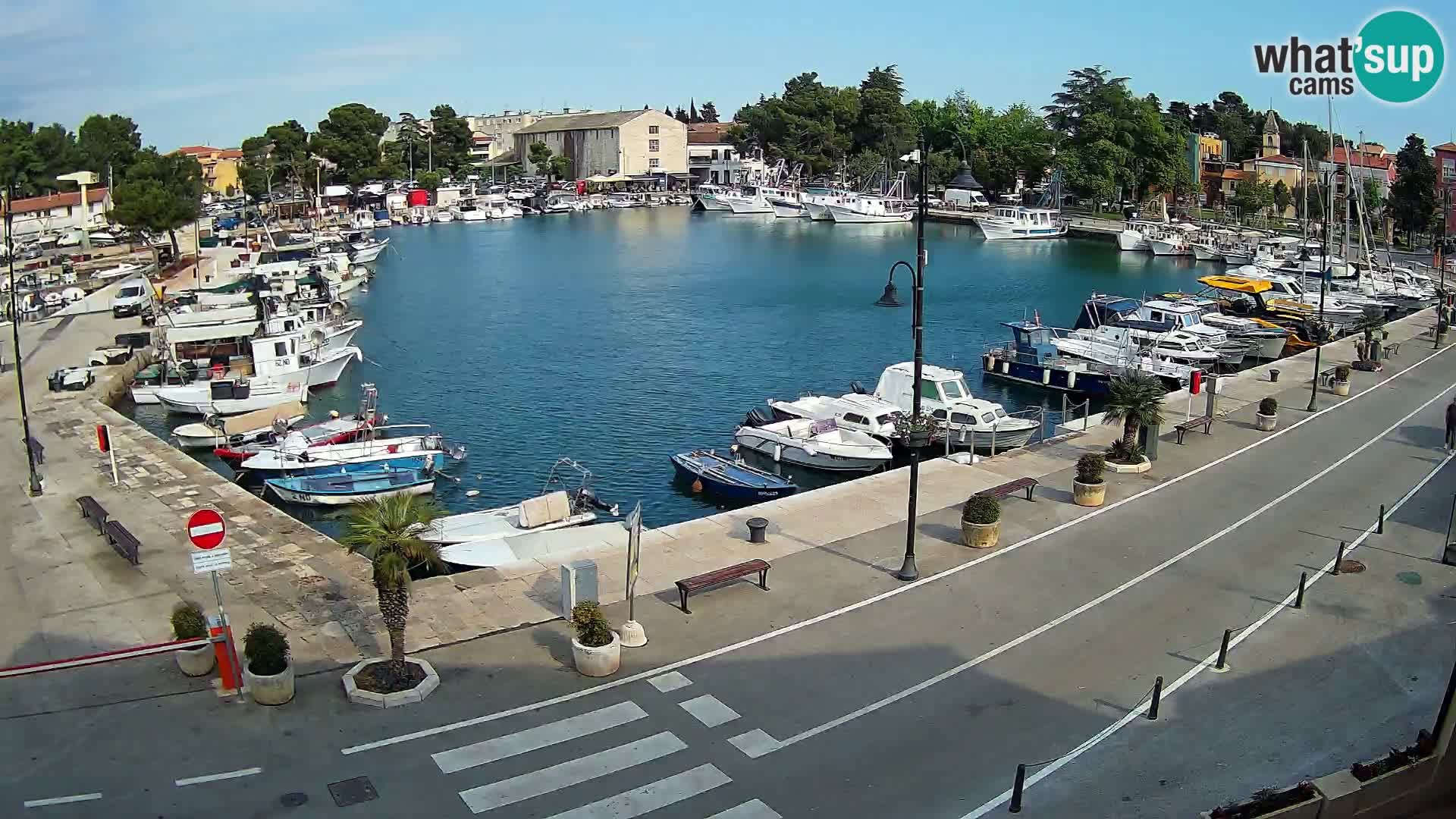 Novigrad webcam Mandrač | Cittanova in Istria – Porto vecchio