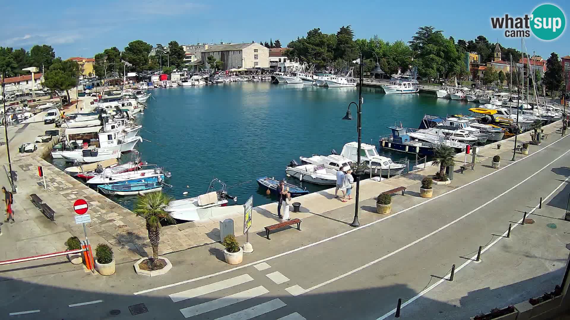 Novigrad webcam – old marina “Mandrač”