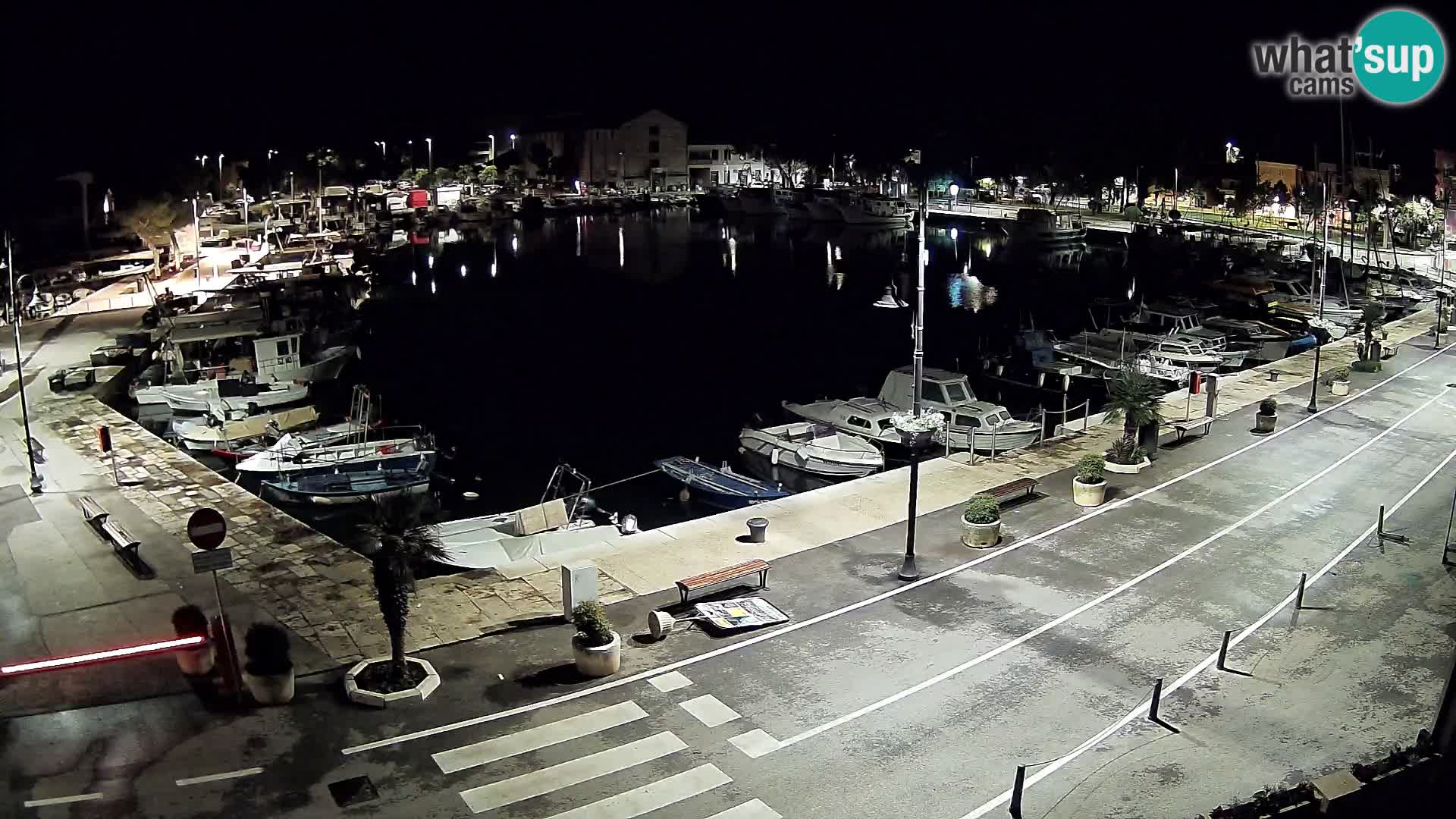 Novigrad webcam – old marina “Mandrač”
