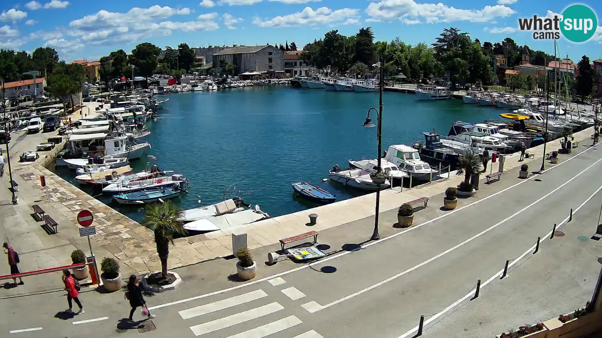 Novigrad kamera Mandrač – Istra