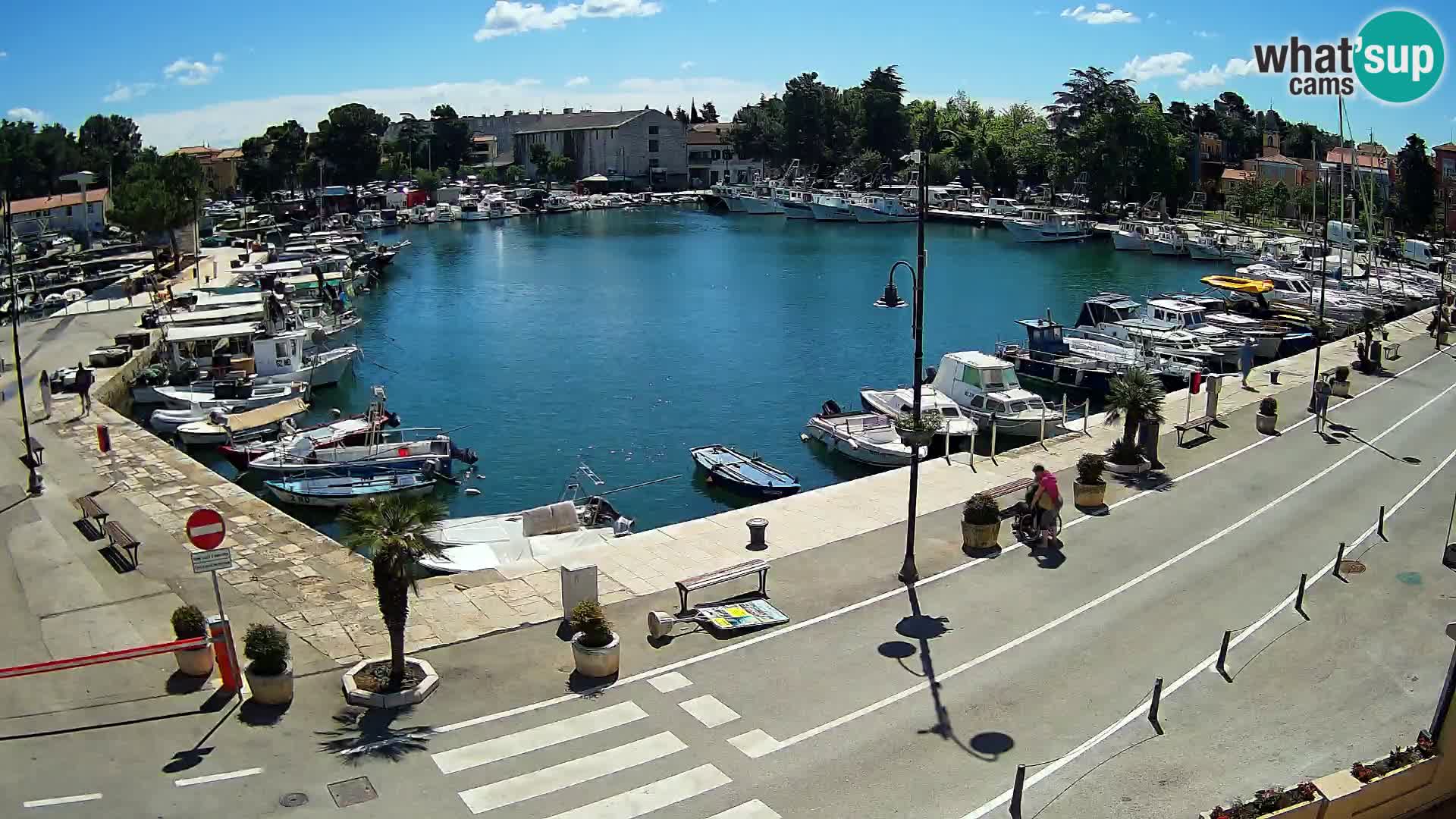 Novigrad –  Mandrač