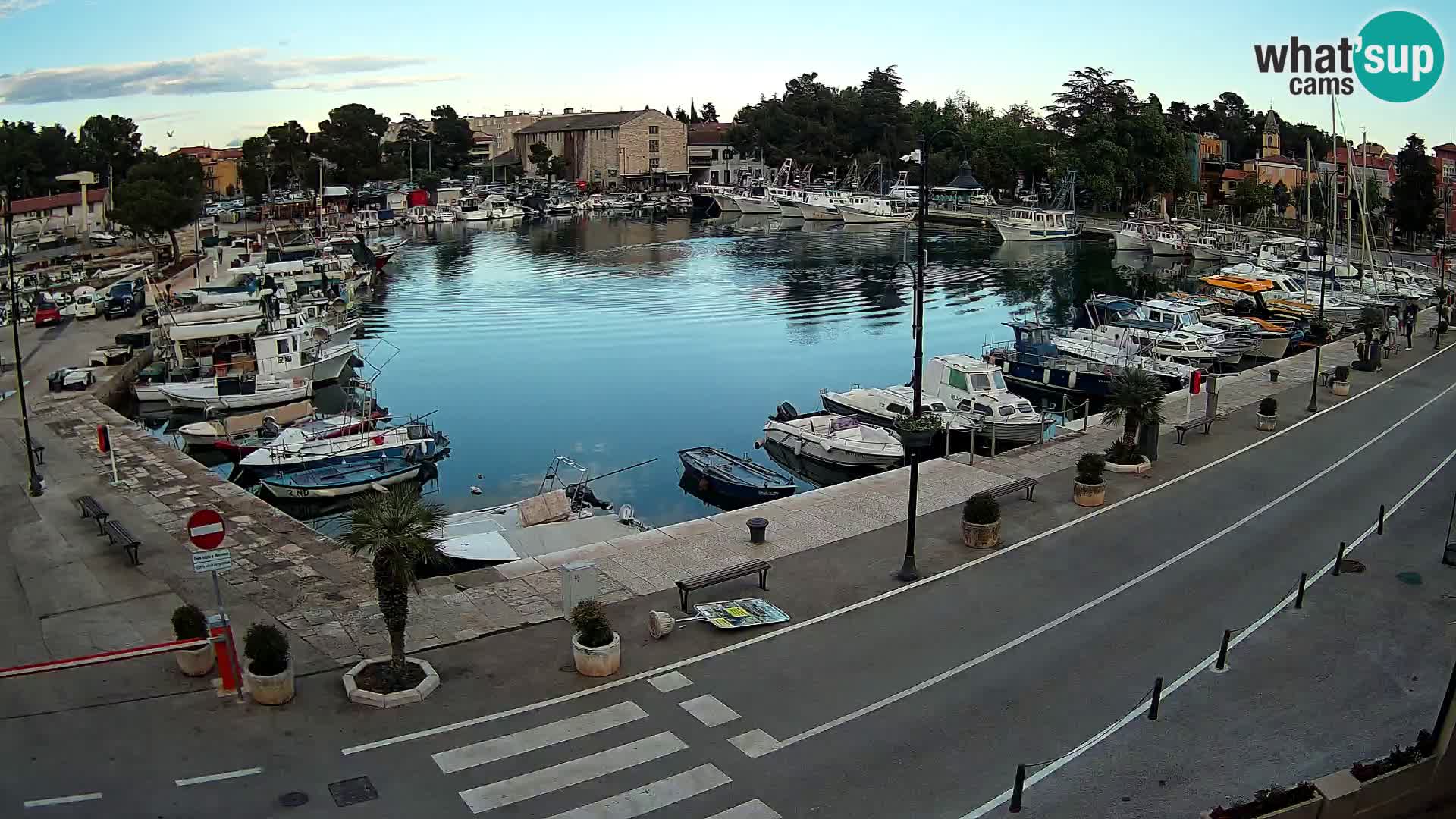 Novigrad webcam Mandrač | Cittanova in Istria – Porto vecchio