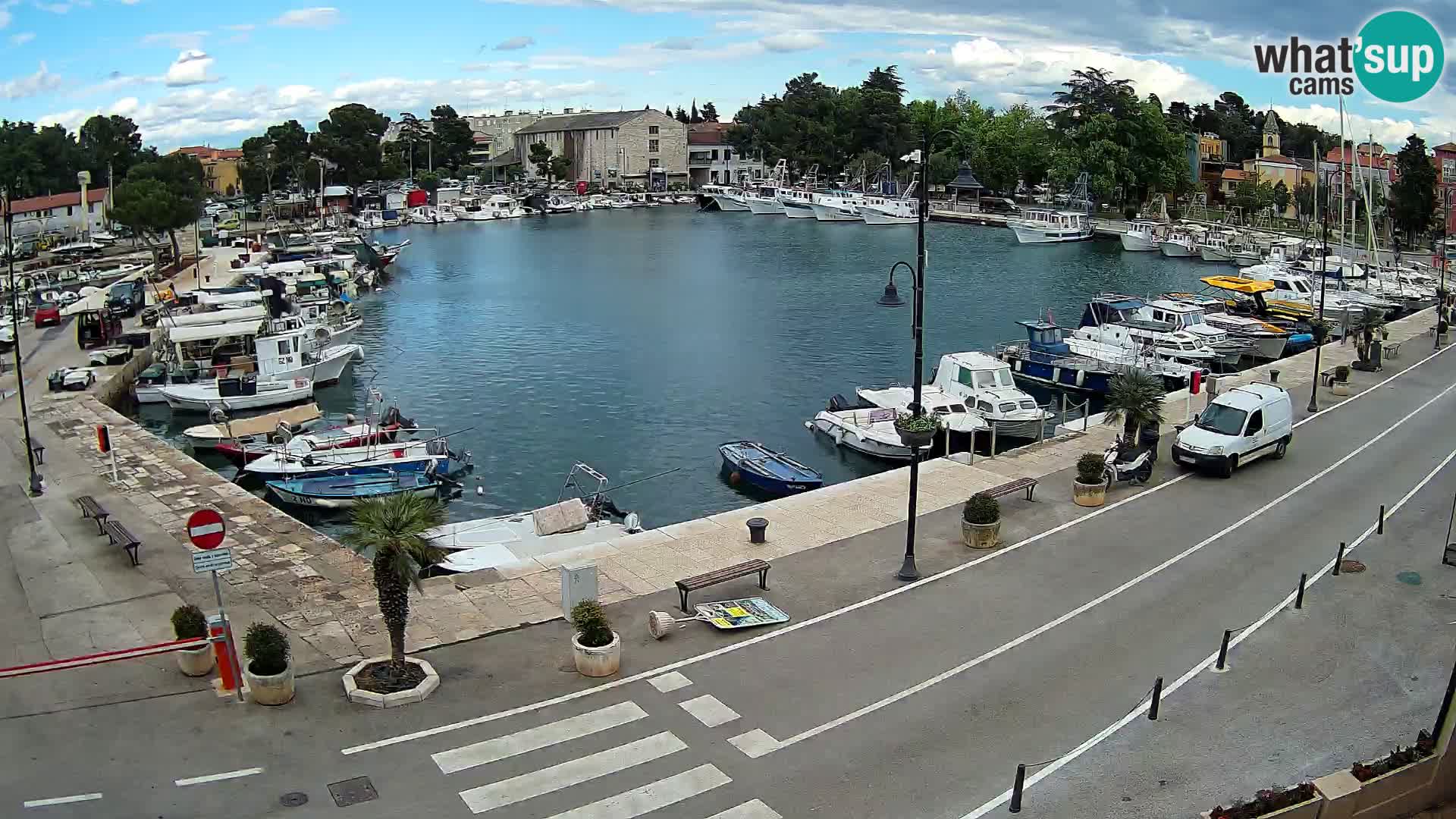 Novigrad webcam Mandrač | Cittanova in Istria – Porto vecchio