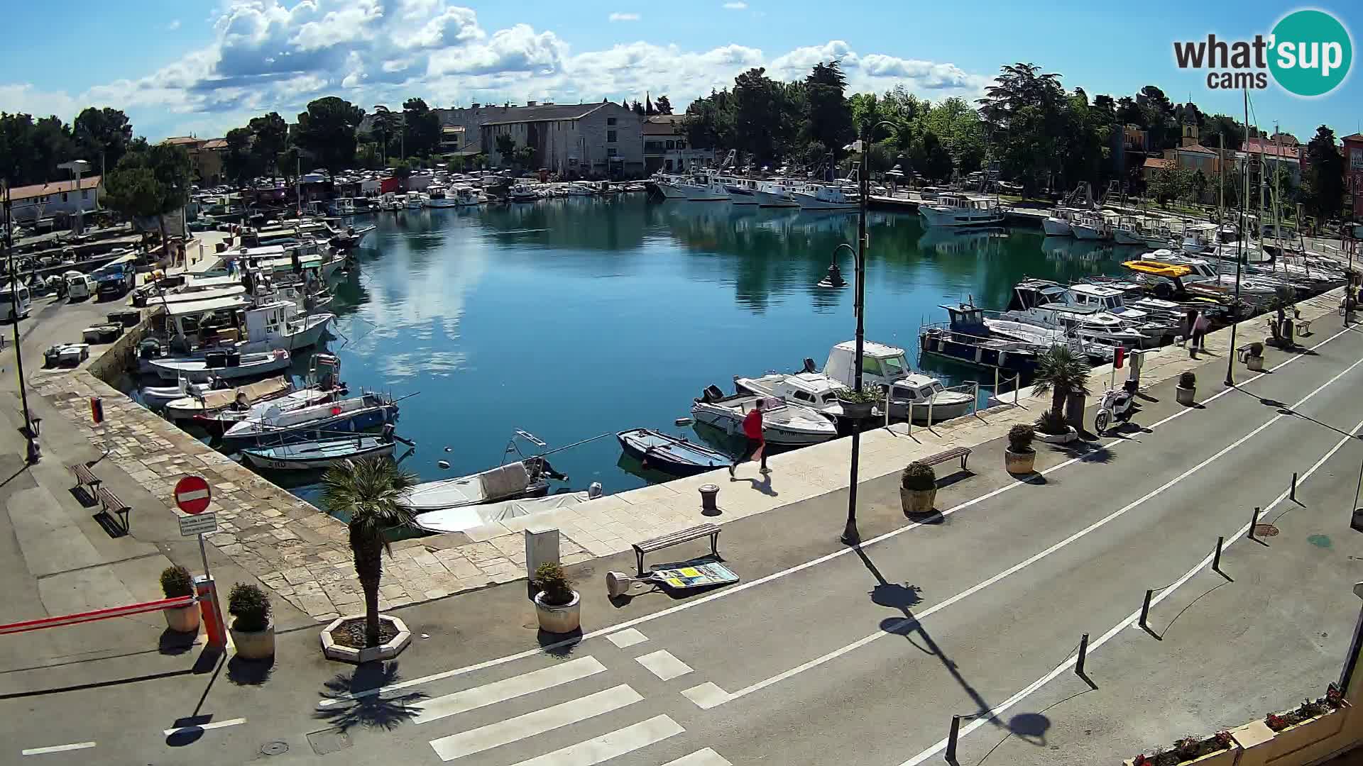 Novigrad –  Mandrač
