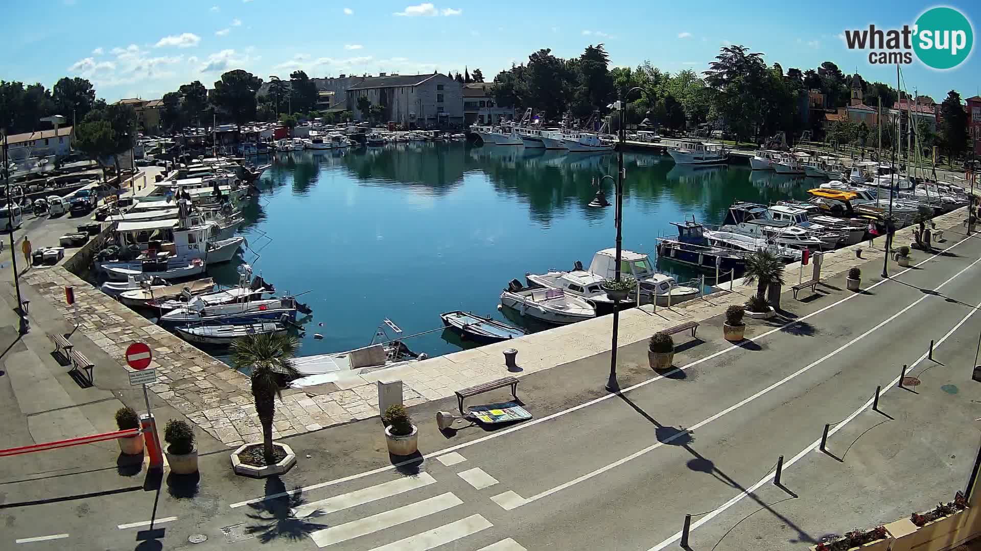 Novigrad webcam Mandrač | alten Hafen – Istrien