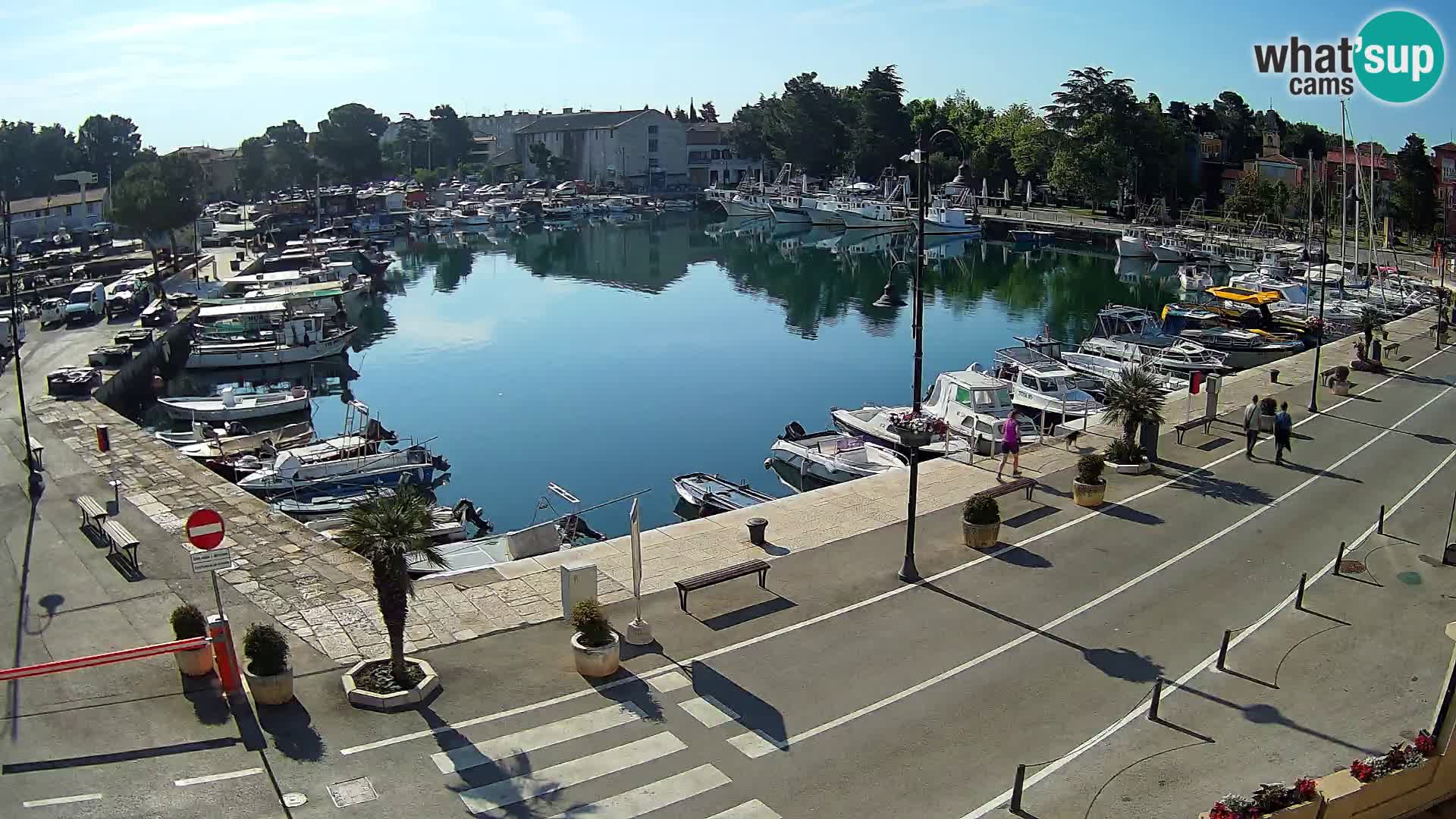 Novigrad kamera Mandrač – Istra