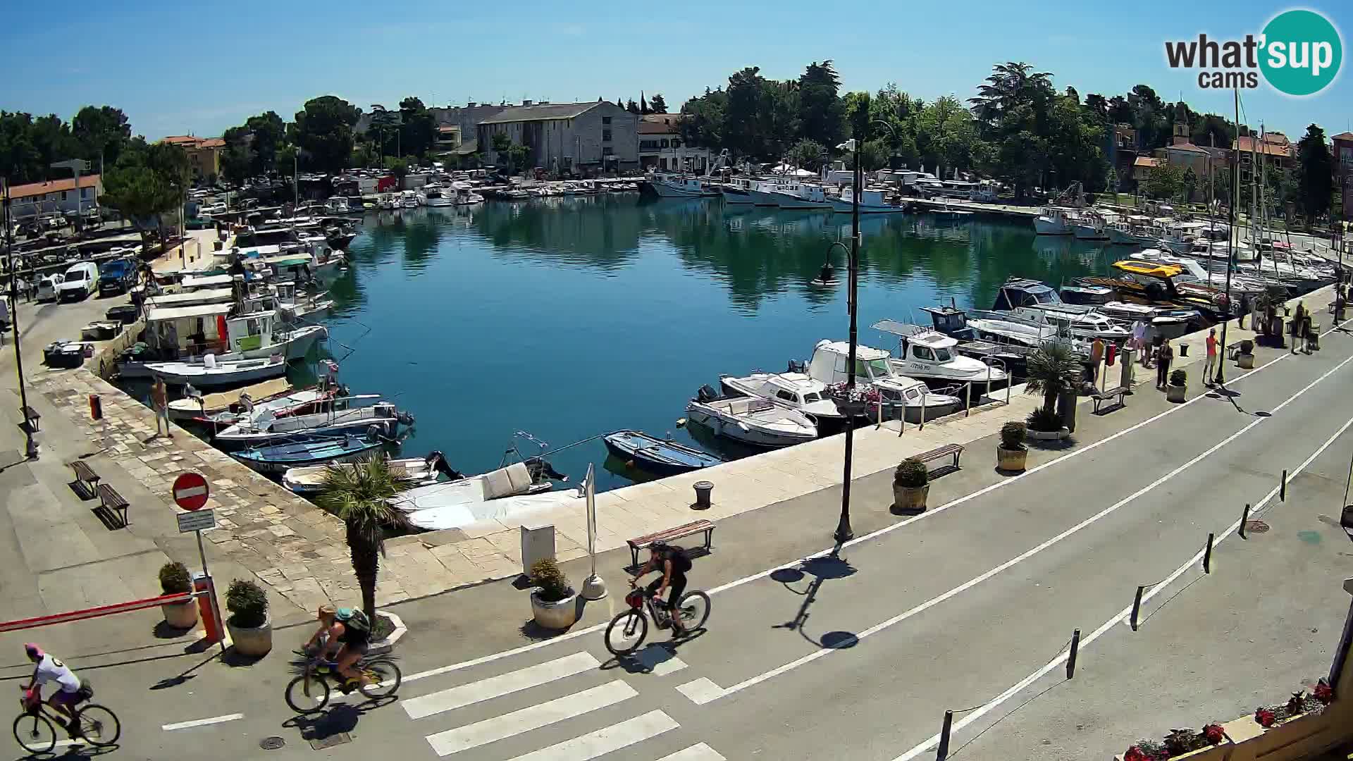 Novigrad kamera Mandrač – Istra
