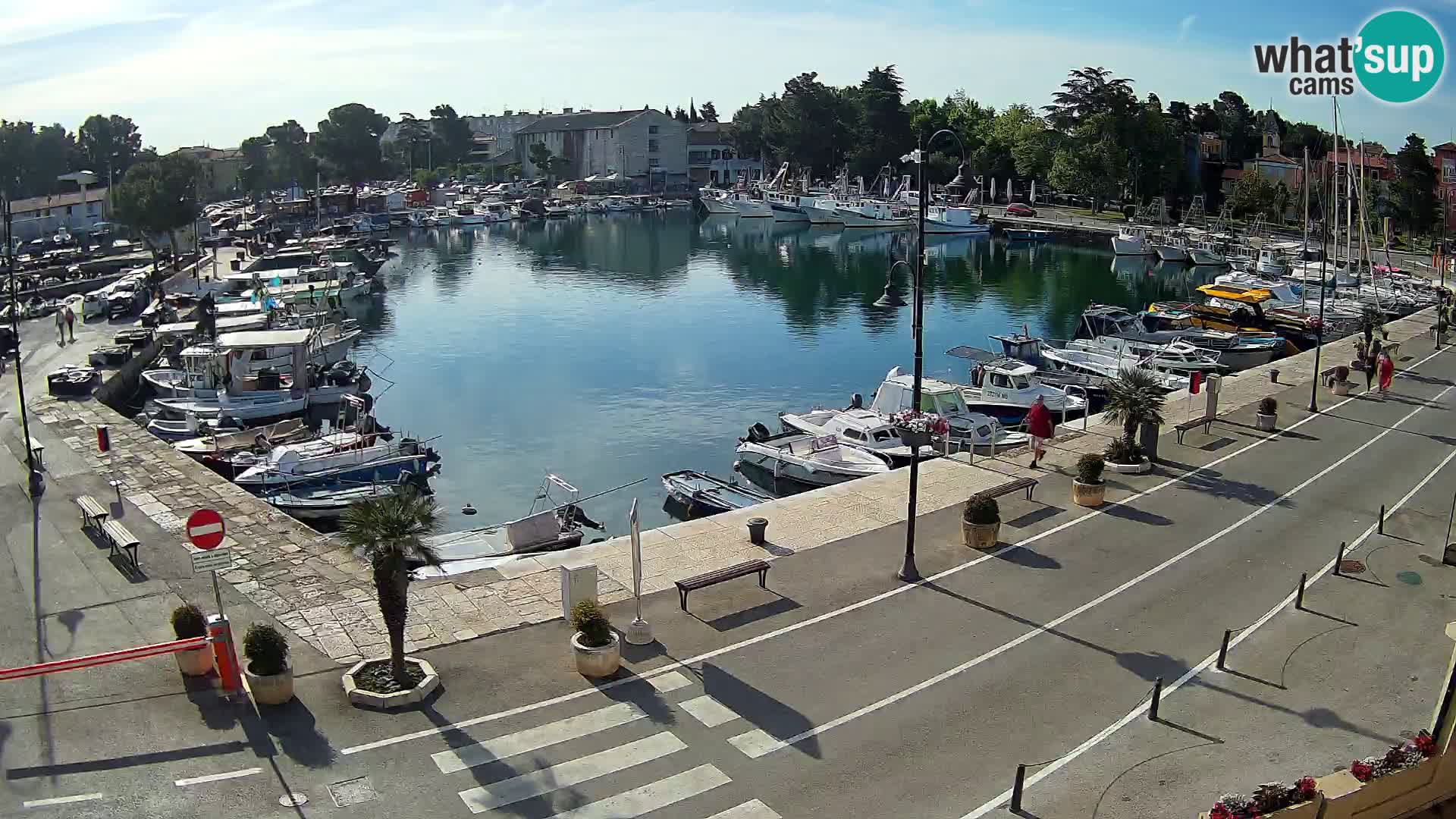 Novigrad webcam Mandrač | Cittanova in Istria – Porto vecchio
