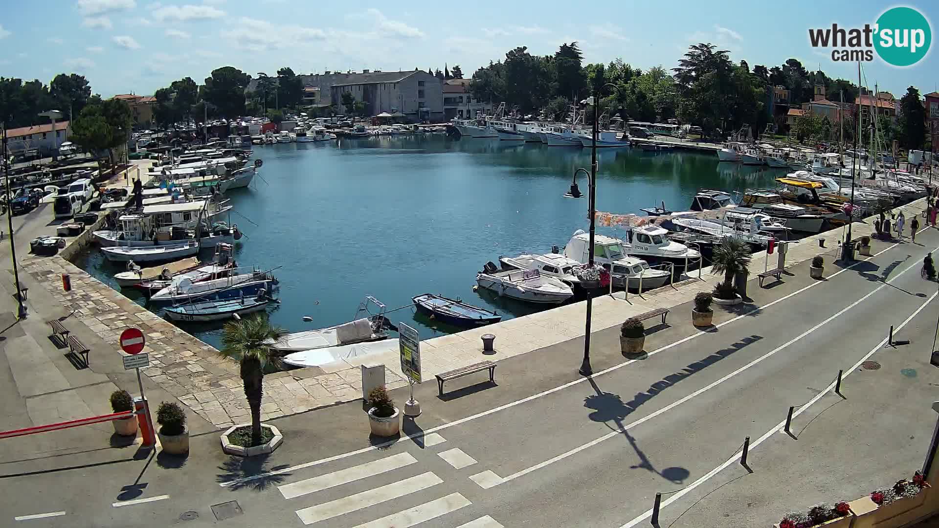 Novigrad webcam Mandrač | alten Hafen – Istrien