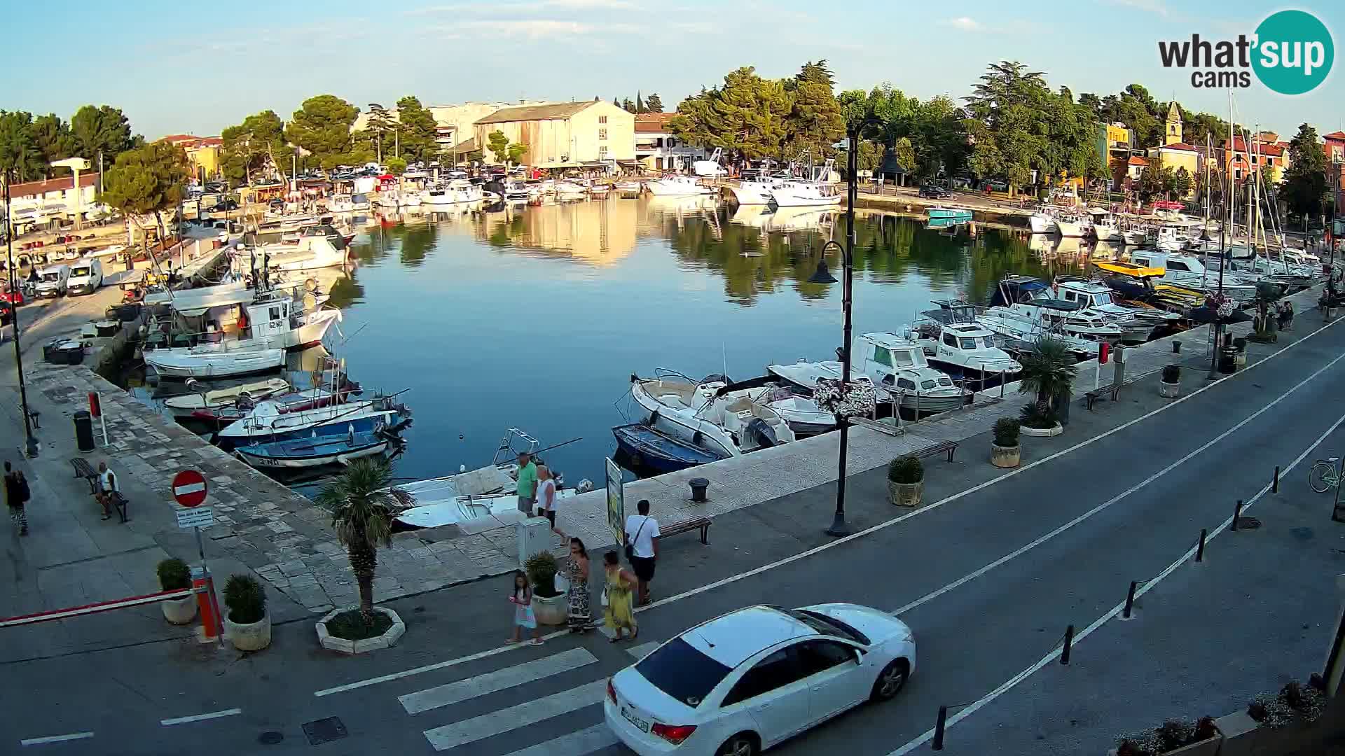 Novigrad webcam Mandrač | alten Hafen – Istrien