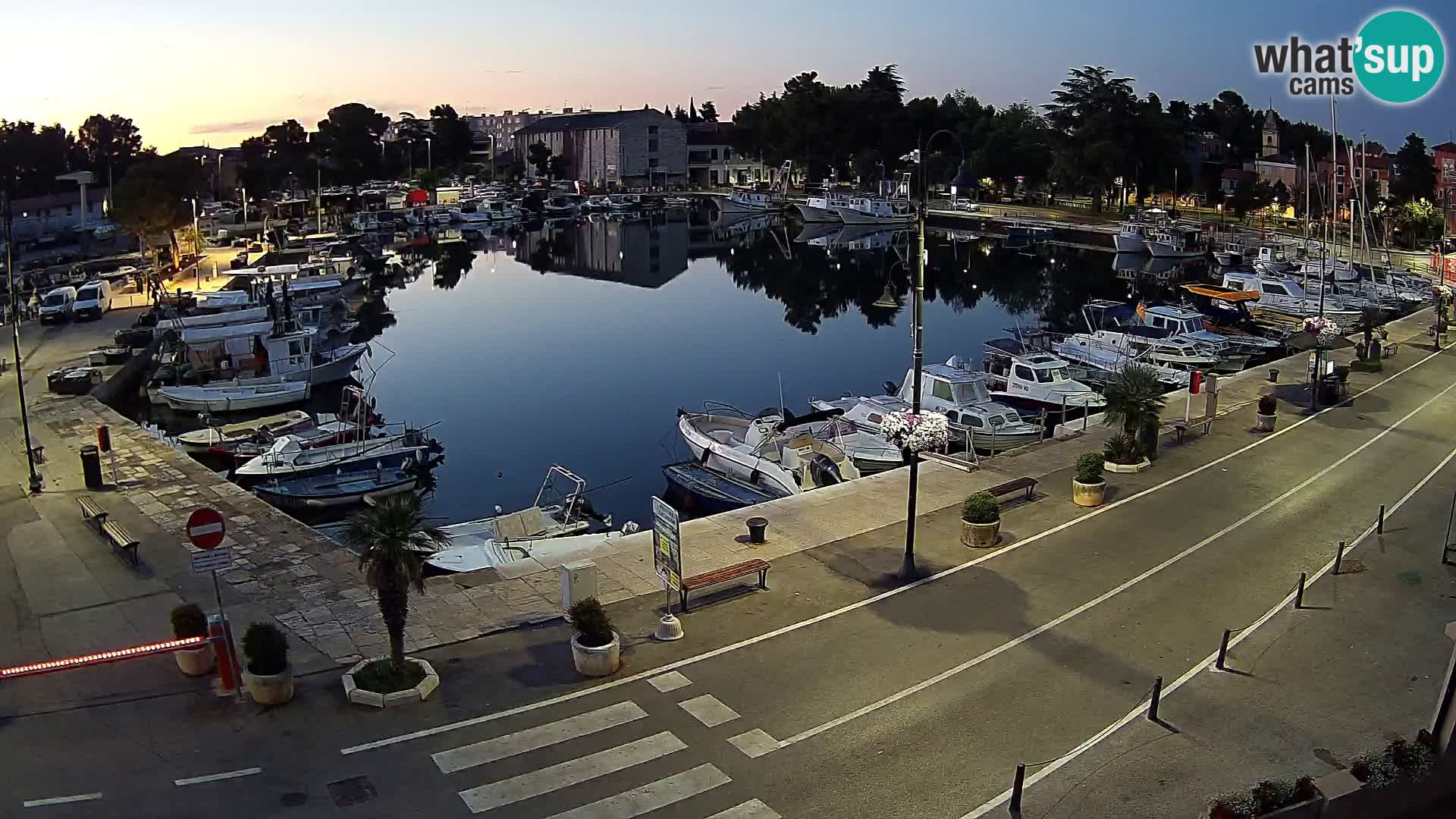 Novigrad webcam Mandrač | Cittanova in Istria – Porto vecchio