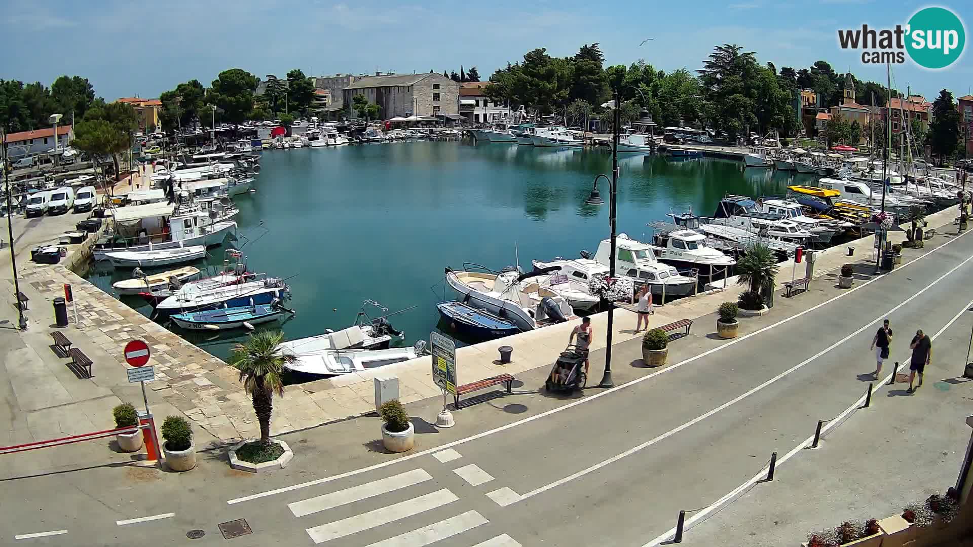 Novigrad kamera Mandrač – Istra